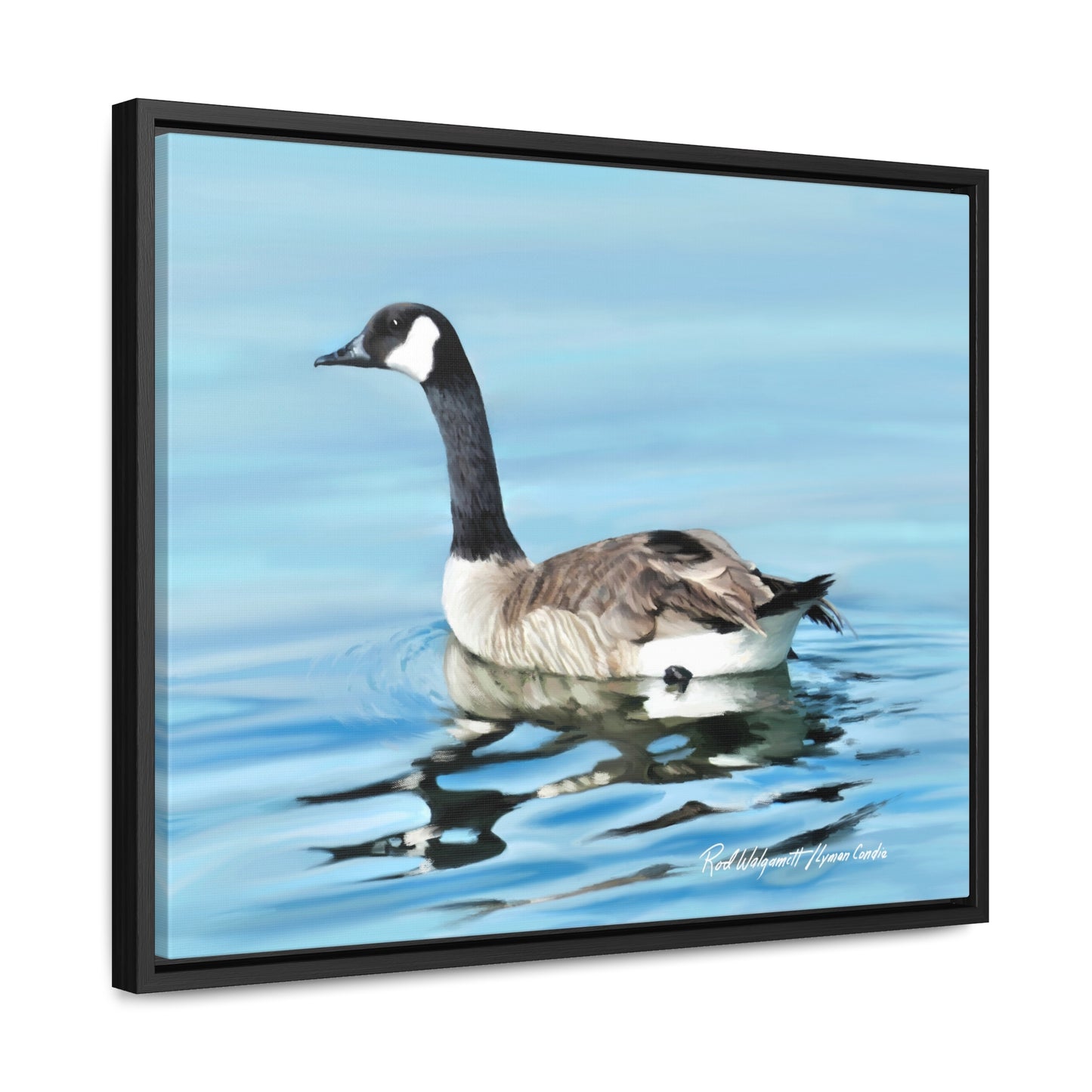 Stretched Canvas Print in Wood Frame, Canada Goose on Stansbury Lake , by Rod Walgamott
