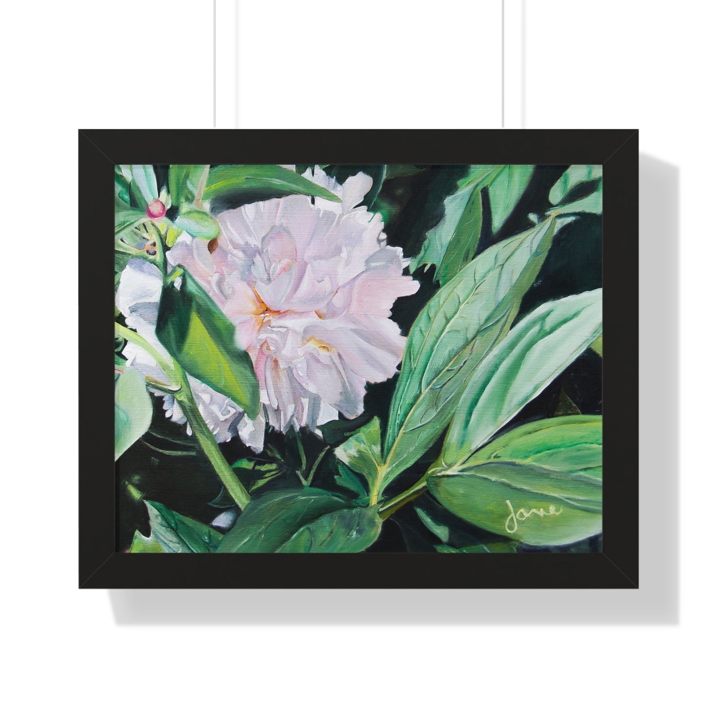 Premium Matte Print--Framed, Shy Peone by Jane Autry