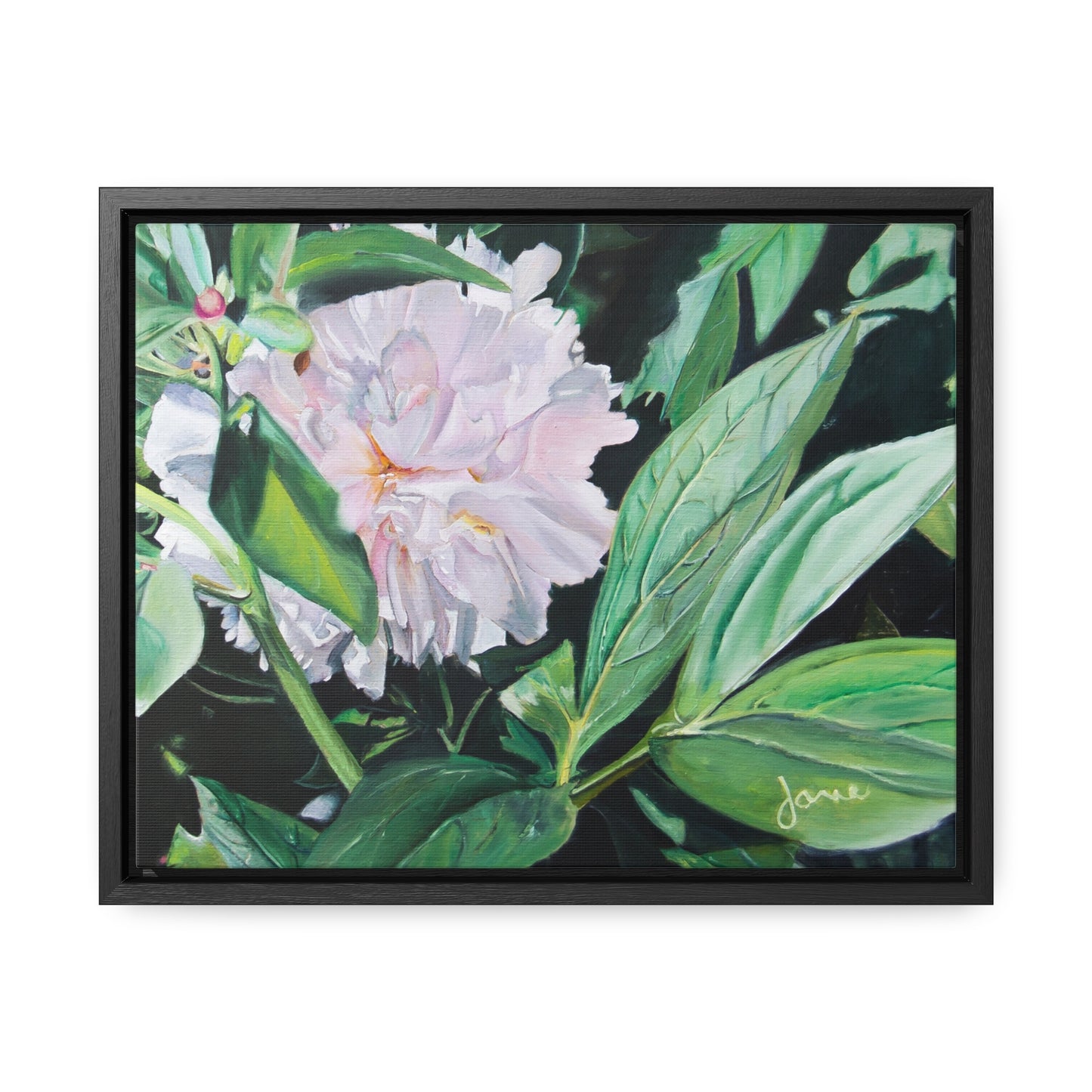 Stretched Canvas Wrap in Wood Frame, Shy Peone by Jane Autry