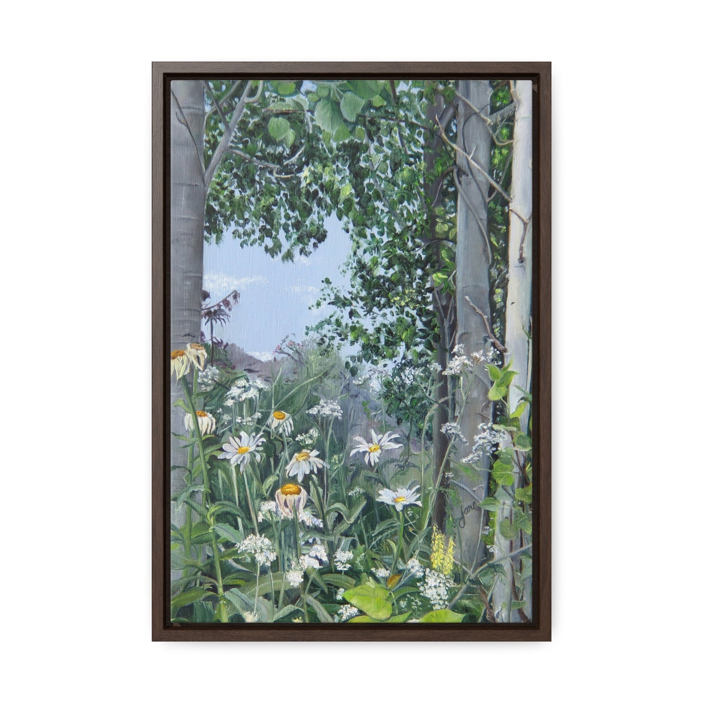 Quakies and Daisies by Jane Autry, Canvas Gallery Wrap