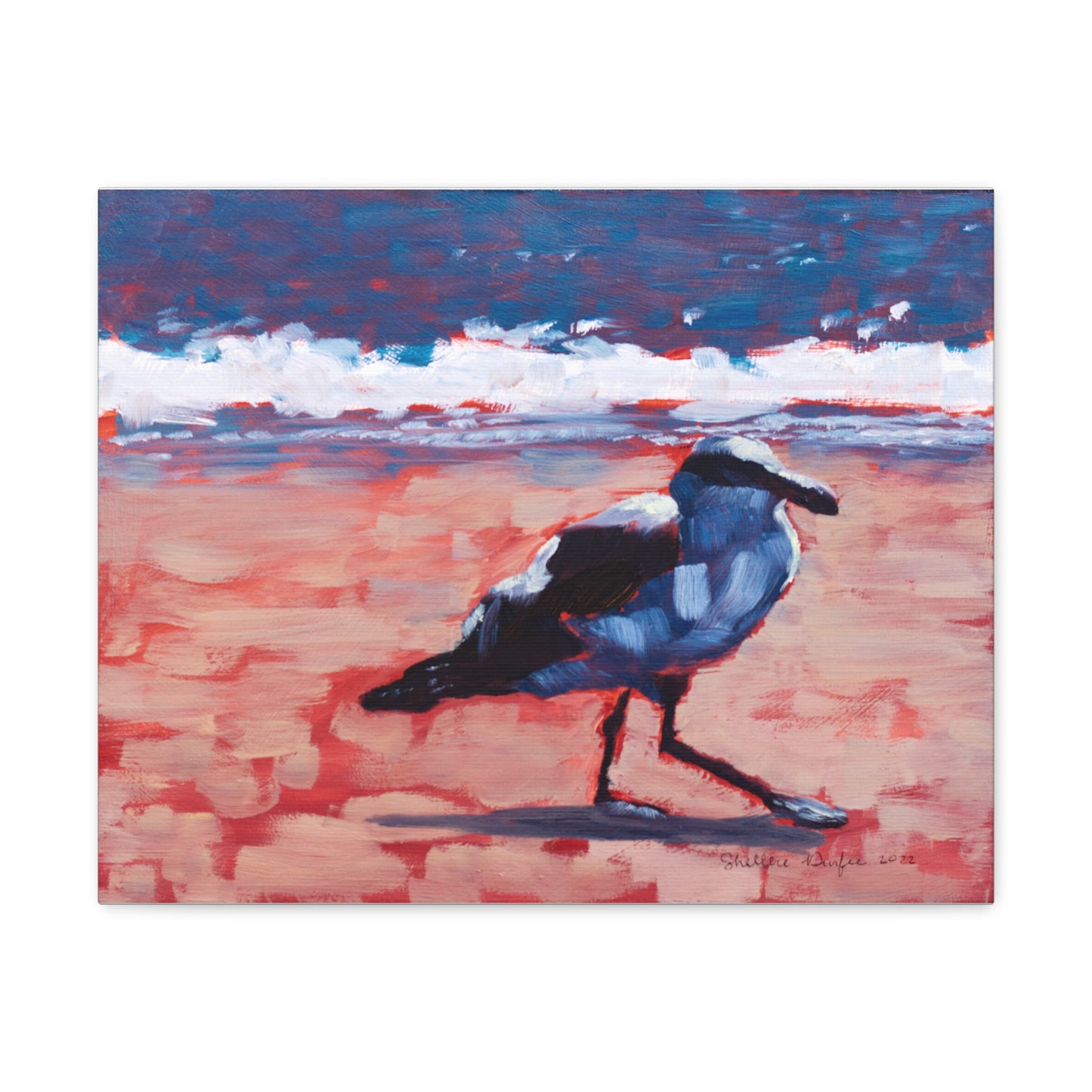 Canvas Gallery Wrap, Seagull, by Shellece Durfee