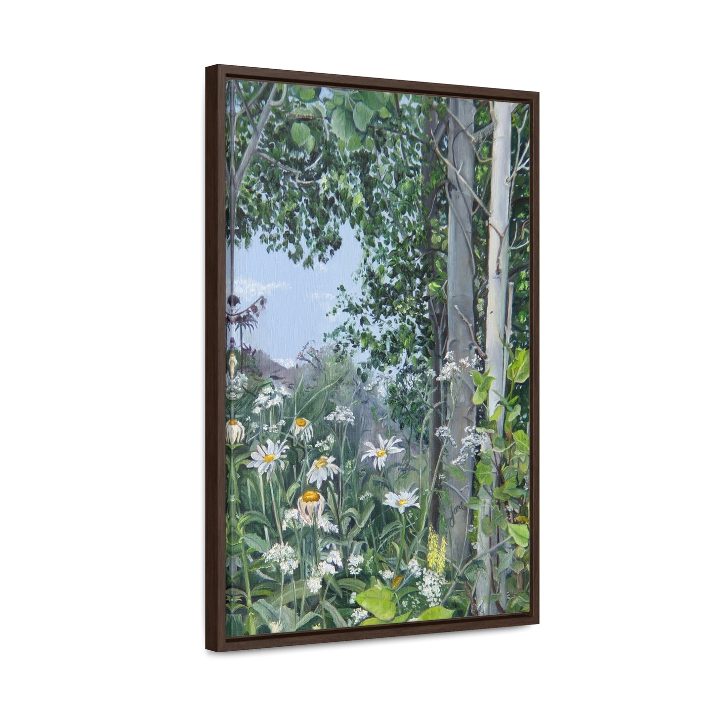 Quakies and Daisies by Jane Autry, Canvas Gallery Wrap