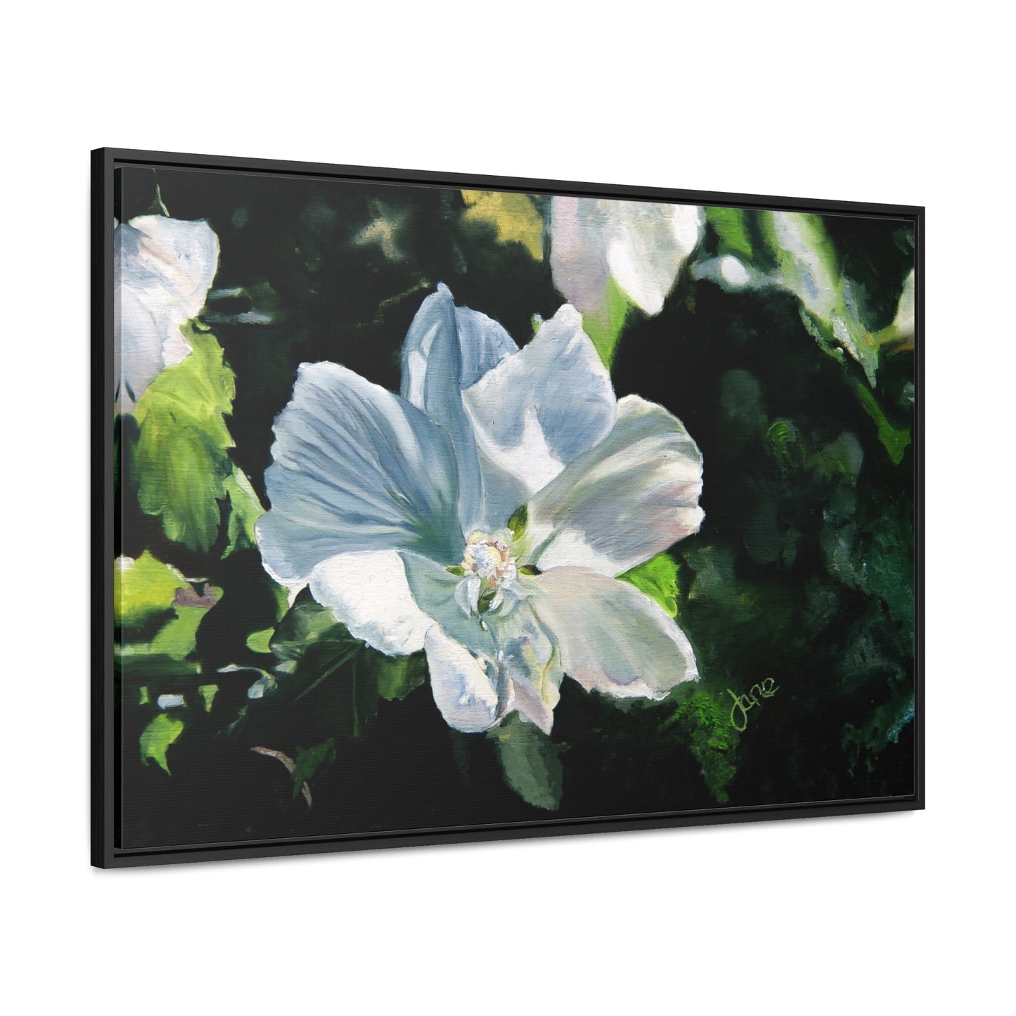 Stretched Canvas Wrap in Wood Frame, White Rose of Sharon by Jane Autry