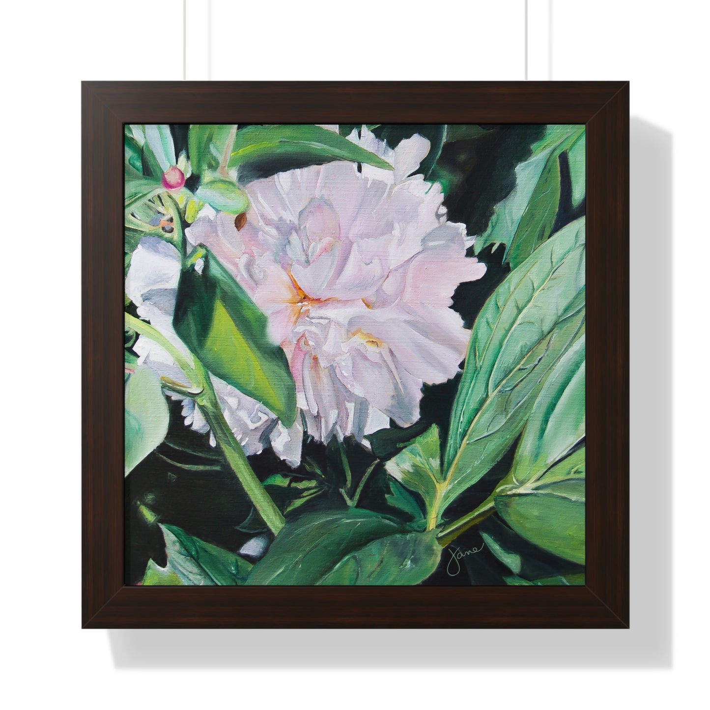 Premium Matte Print--Framed, Shy Peone by Jane Autry