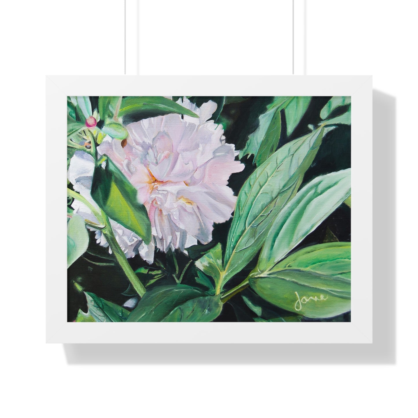 Premium Matte Print--Framed, Shy Peone by Jane Autry