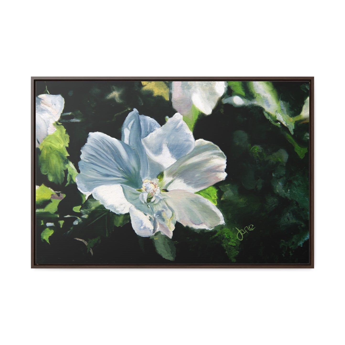 Stretched Canvas Wrap in Wood Frame, White Rose of Sharon by Jane Autry