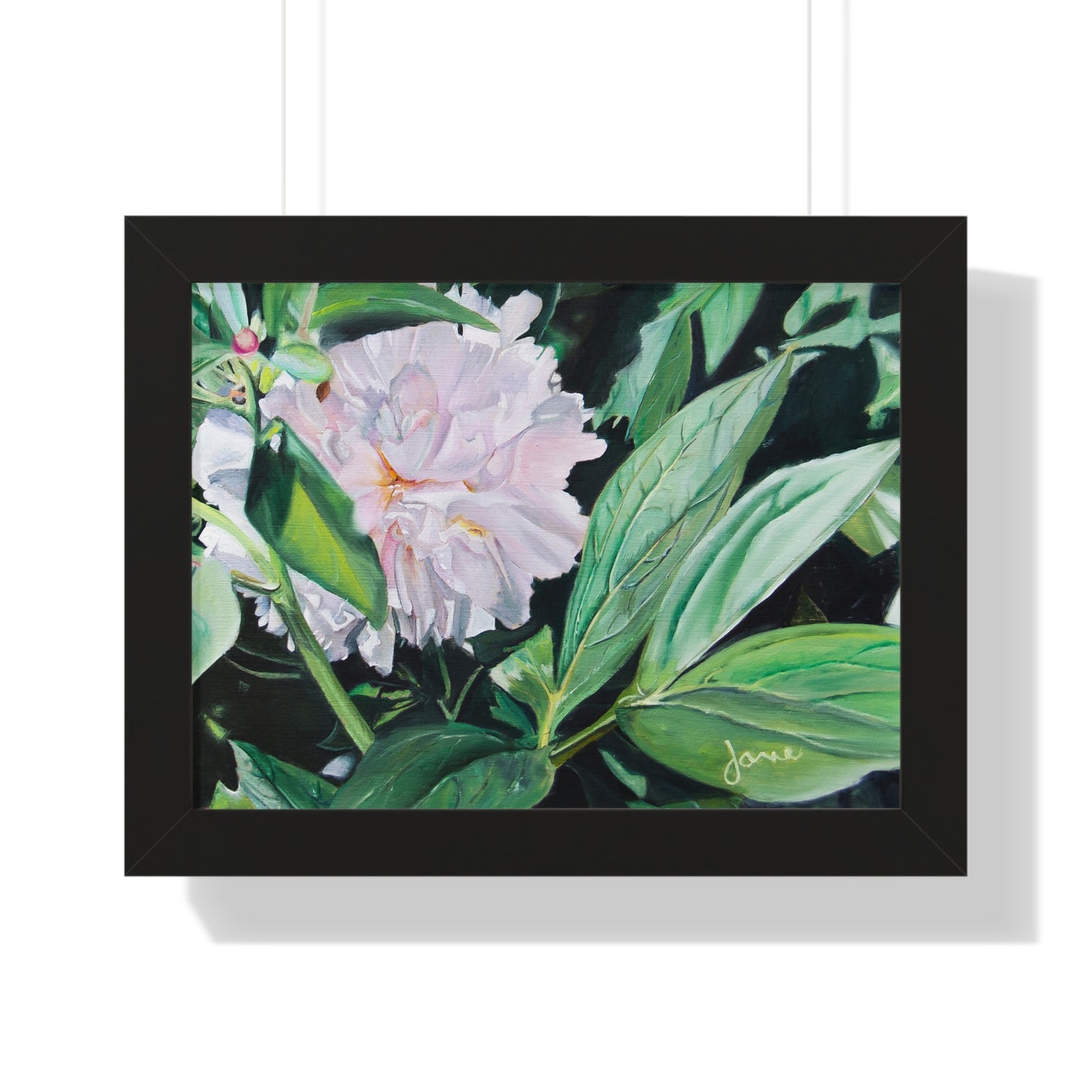 Premium Matte Print--Framed, Shy Peone by Jane Autry