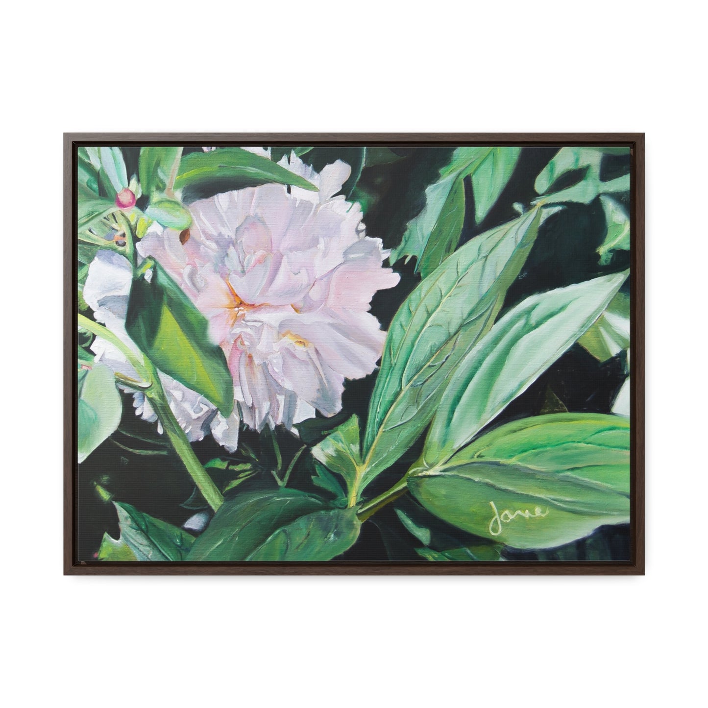 Stretched Canvas Wrap in Wood Frame, Shy Peone by Jane Autry