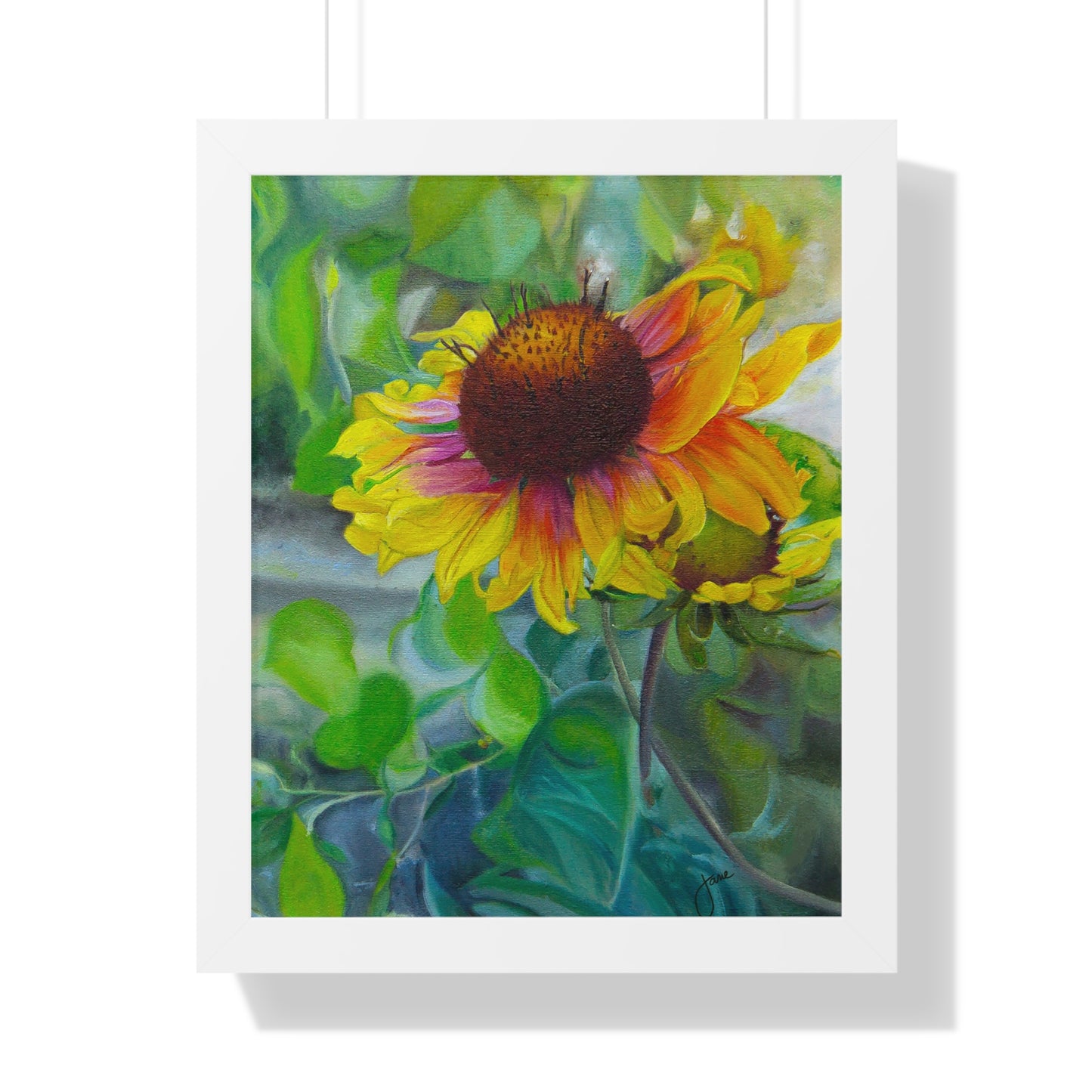 Indian Blanket Flower by Jane Autry, Framed Matte Paper Print