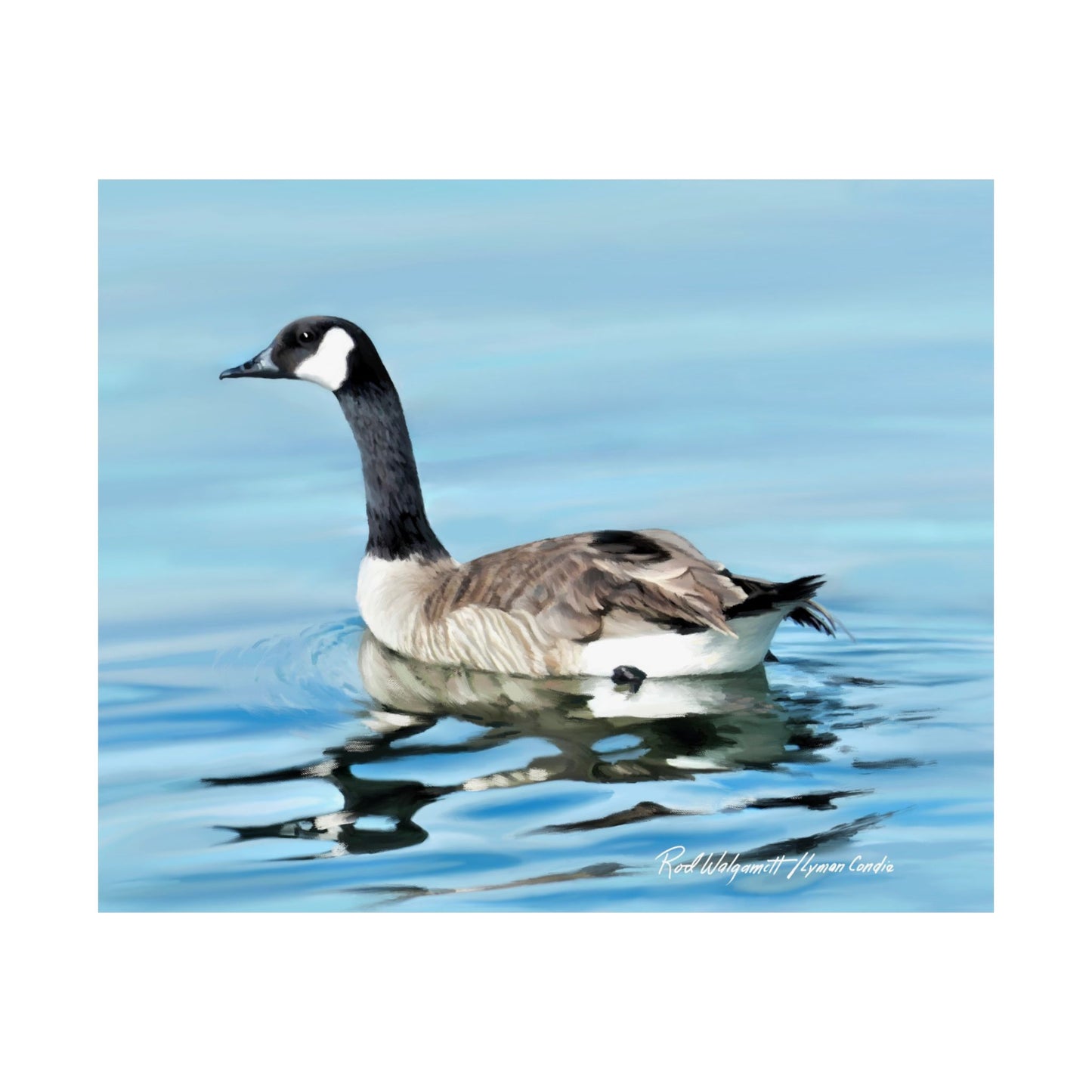 Premium Matte Print, Canada Goose on Stansbury Lake, by Rod Walgamott (Reference Photo by Lyman Condie)