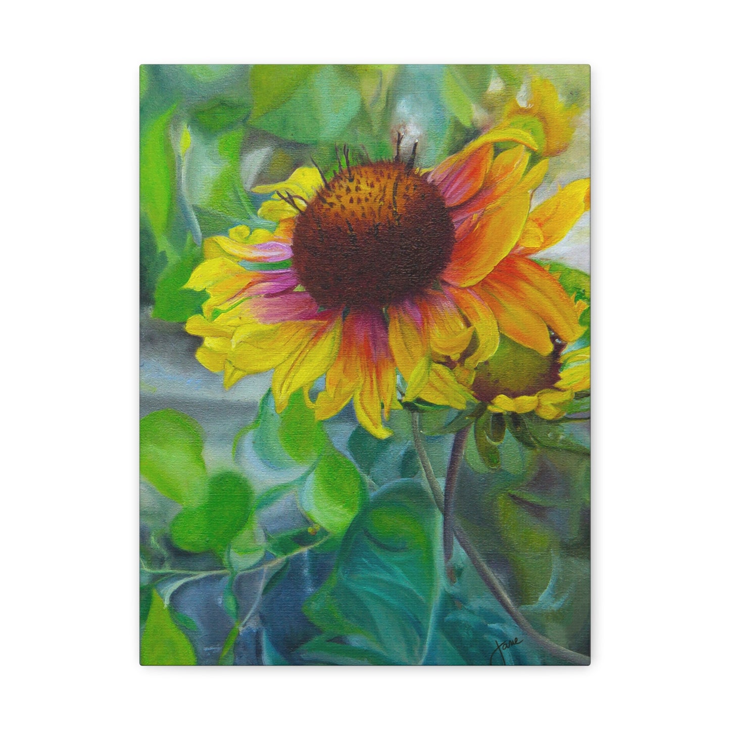 Indian Blanket Flower by Jane Autry, Canvas Gallery Wrap