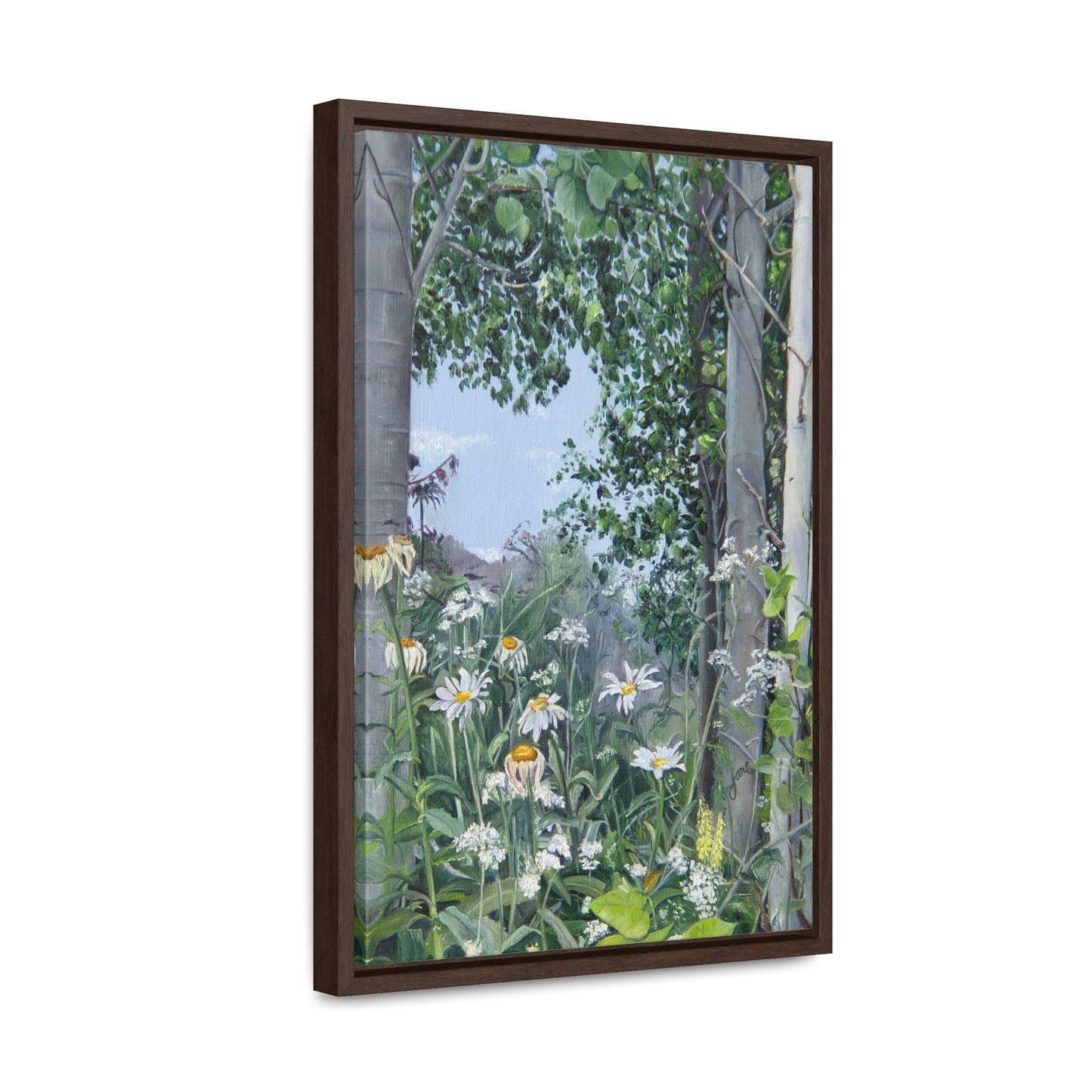 Quakies and Daisies by Jane Autry, Canvas Gallery Wrap
