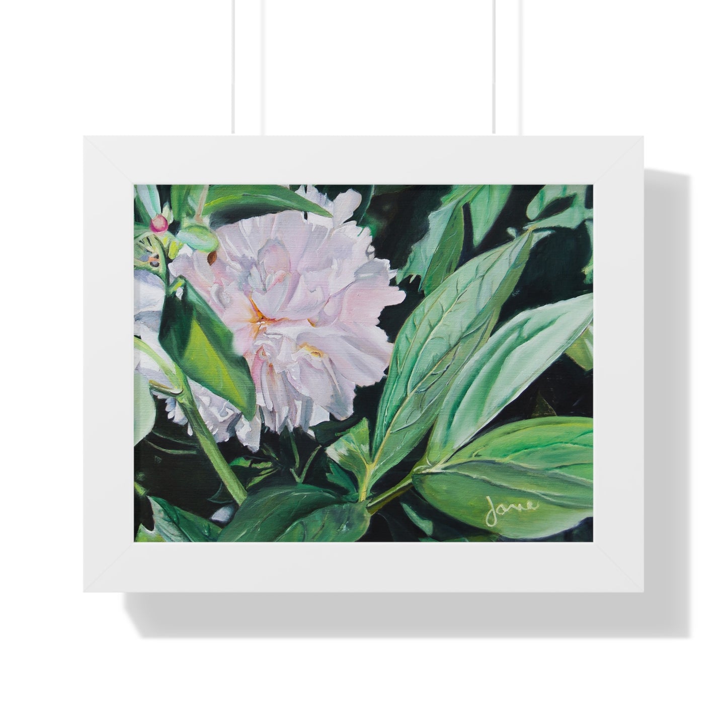 Premium Matte Print--Framed, Shy Peone by Jane Autry