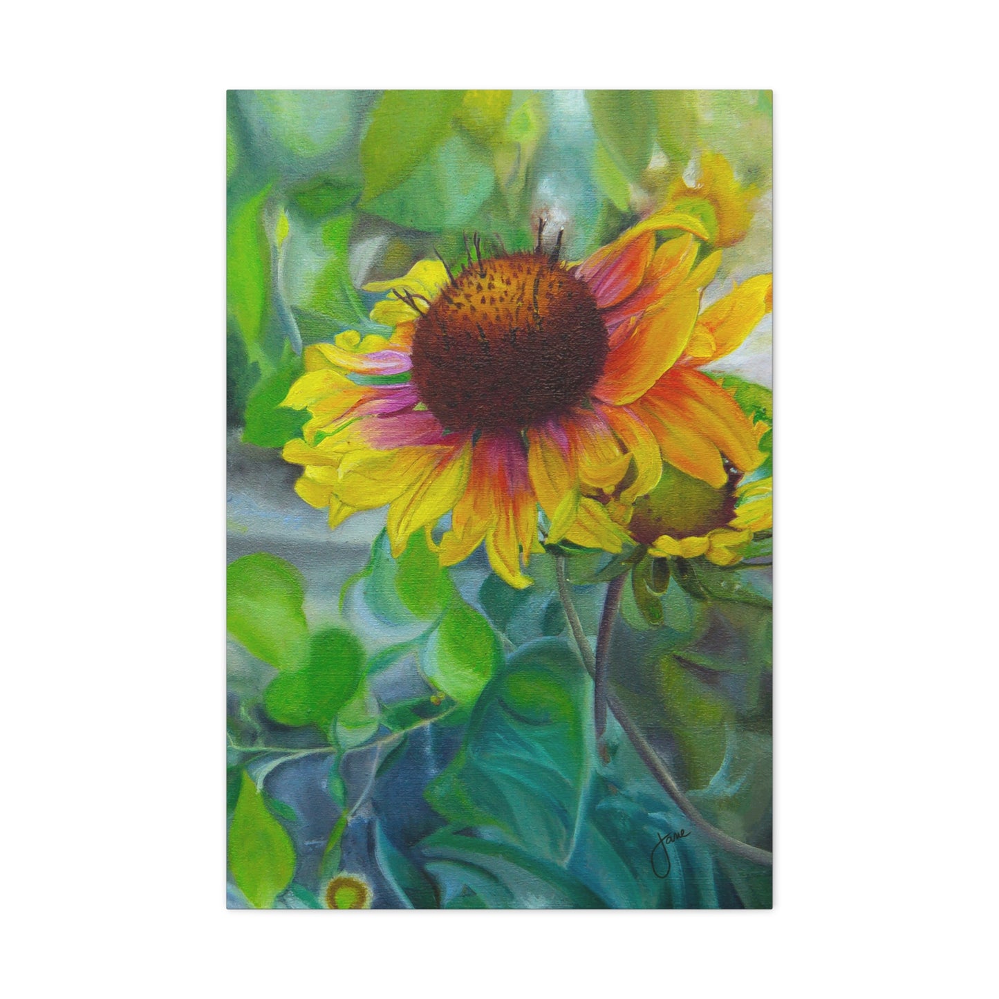 Indian Blanket Flower by Jane Autry, Canvas Gallery Wrap
