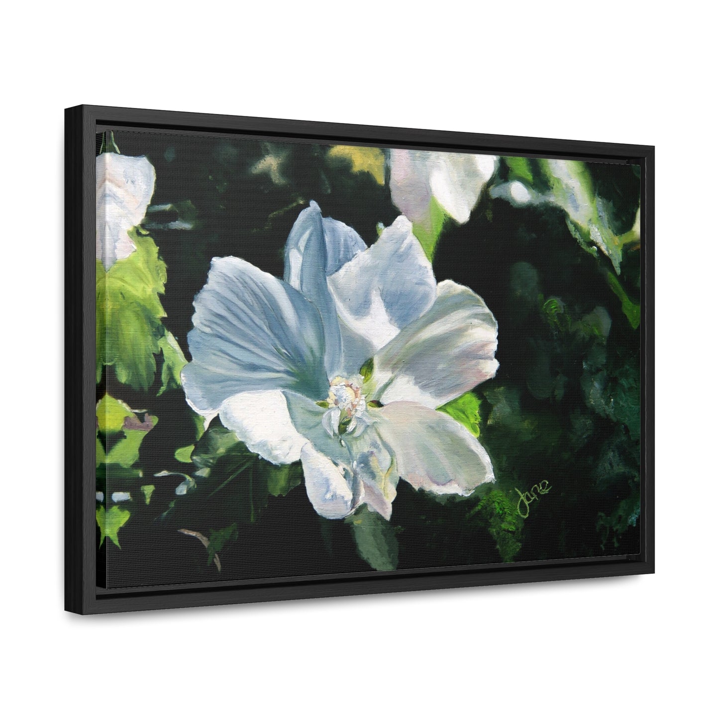 Stretched Canvas Wrap in Wood Frame, White Rose of Sharon by Jane Autry