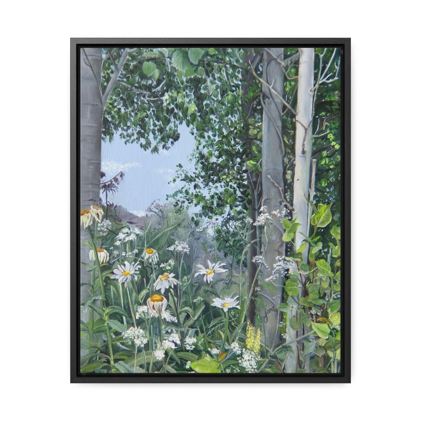 Quakies and Daisies by Jane Autry, Canvas Gallery Wrap