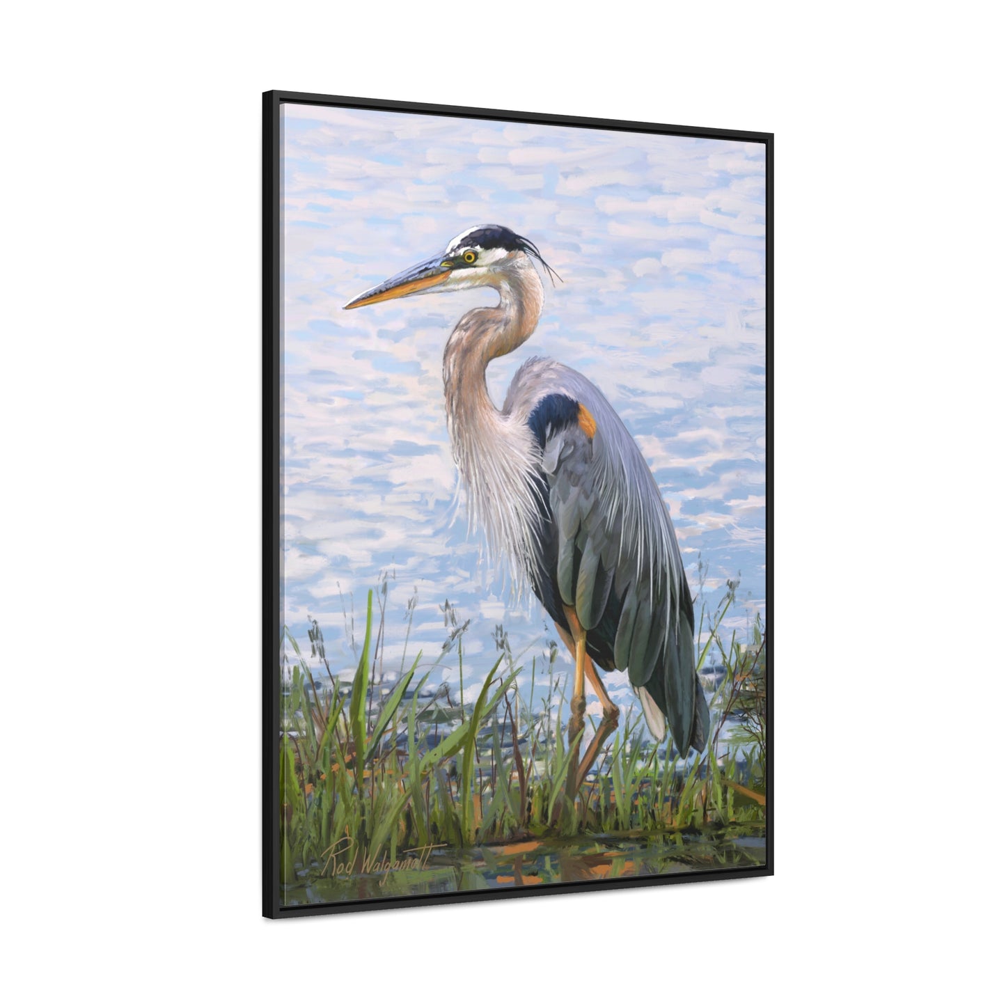 Framed canvas Wrap, Blue Heron at Stansbury Lake, by Rod Walgamott