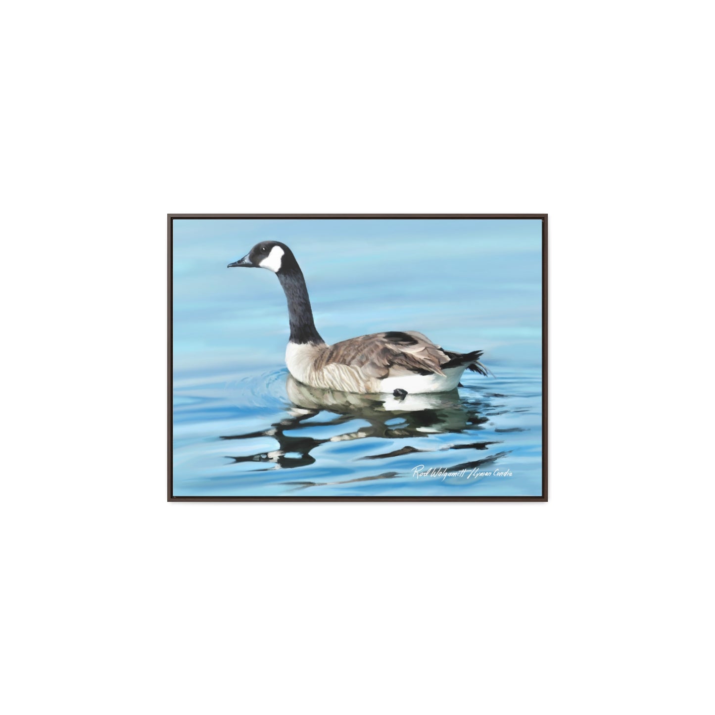 Stretched Canvas Print in Wood Frame, Canada Goose on Stansbury Lake , by Rod Walgamott
