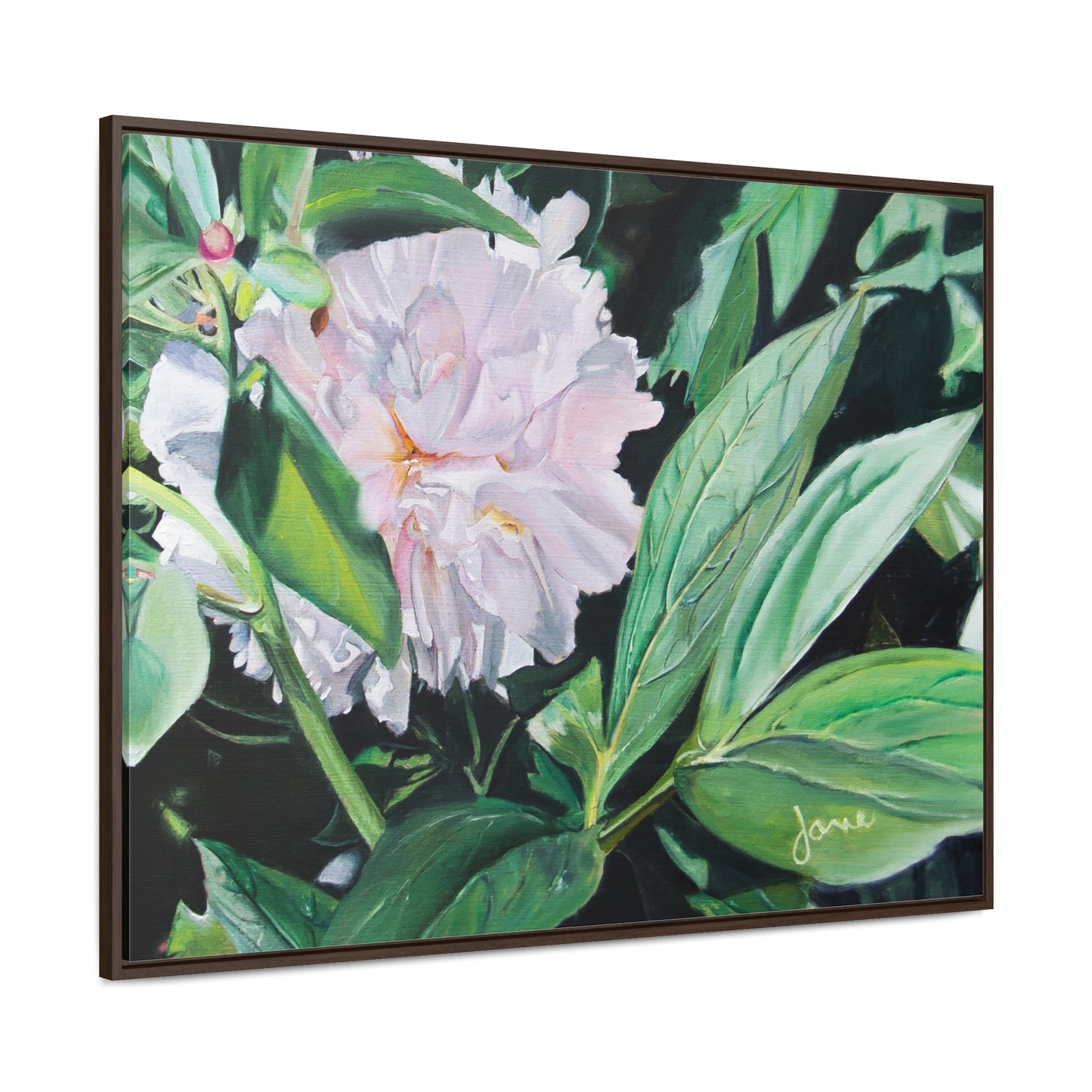 Stretched Canvas Wrap in Wood Frame, Shy Peone by Jane Autry