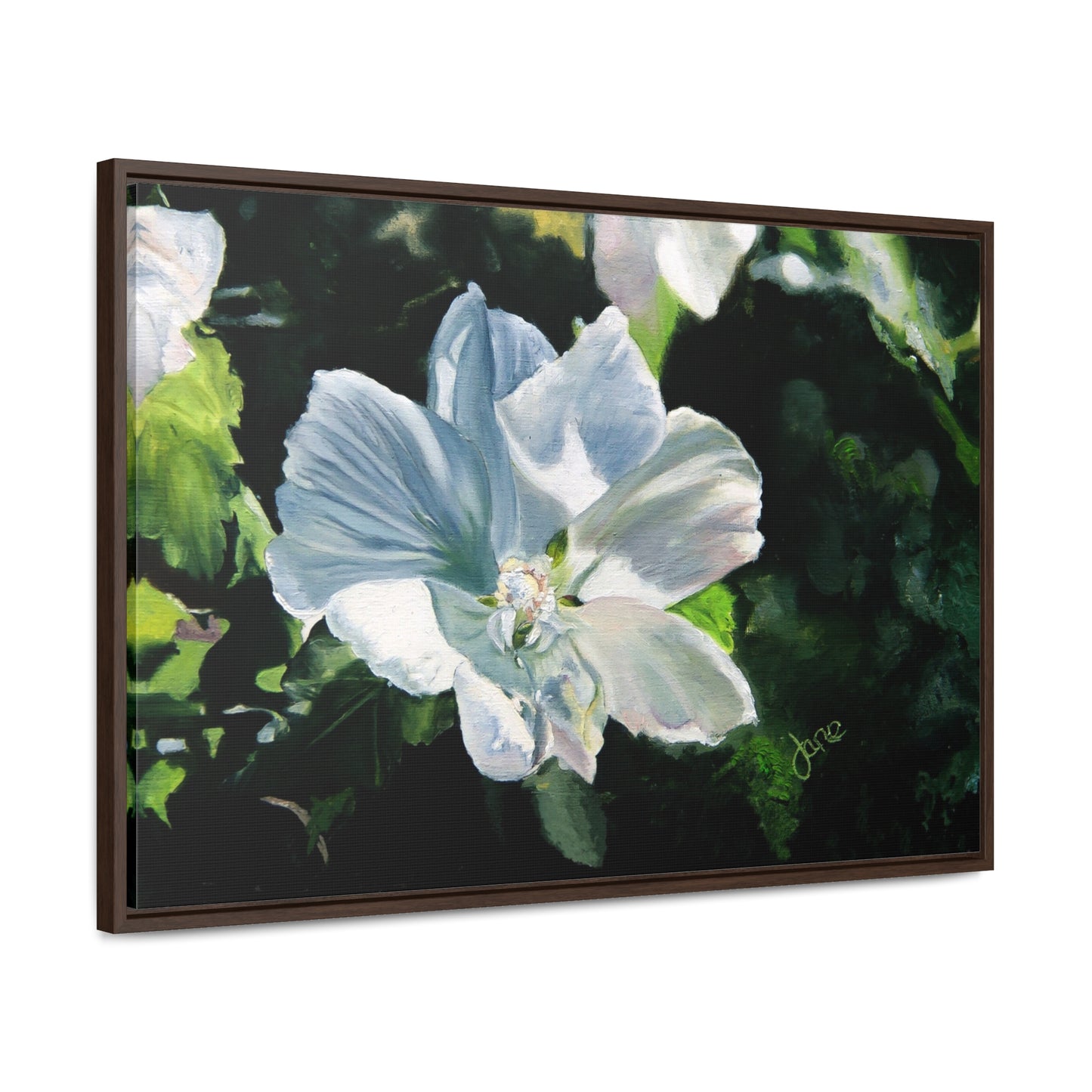 Stretched Canvas Wrap in Wood Frame, White Rose of Sharon by Jane Autry
