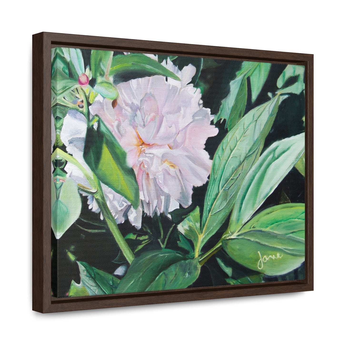 Stretched Canvas Wrap in Wood Frame, Shy Peone by Jane Autry