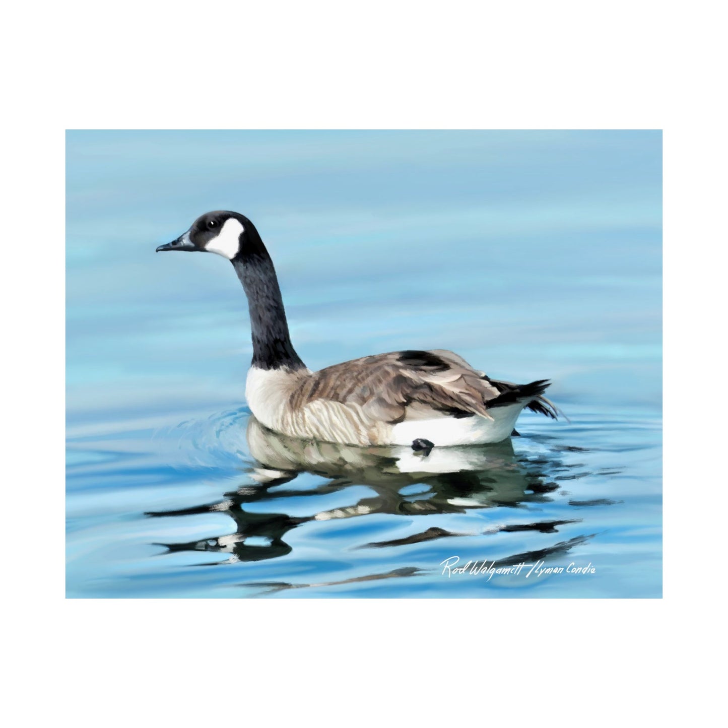 Premium Matte Print, Canada Goose on Stansbury Lake, by Rod Walgamott (Reference Photo by Lyman Condie)