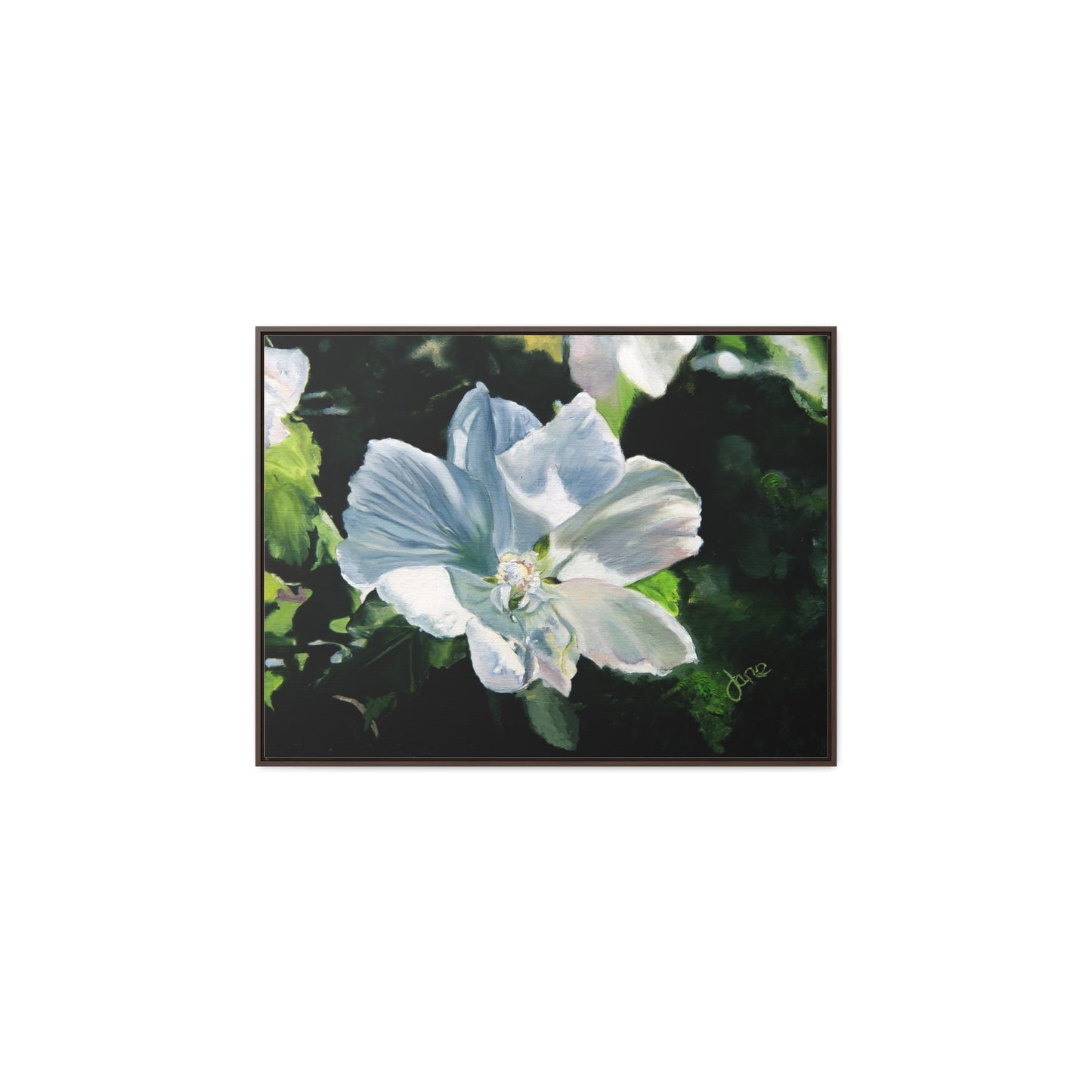 Stretched Canvas Wrap in Wood Frame, White Rose of Sharon by Jane Autry