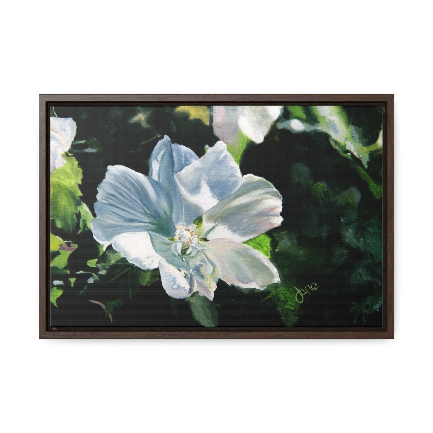 Stretched Canvas Wrap in Wood Frame, White Rose of Sharon by Jane Autry