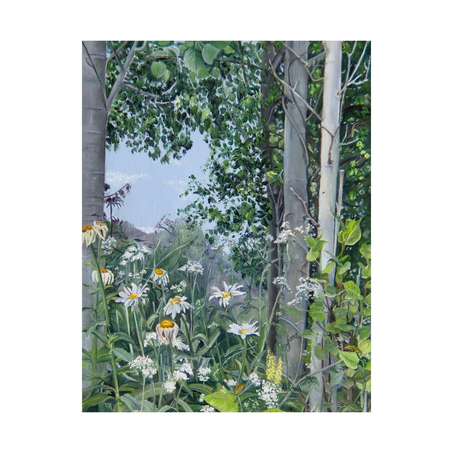 Quakies and Daisies by Jane Autry, Premium Matte Paper Print