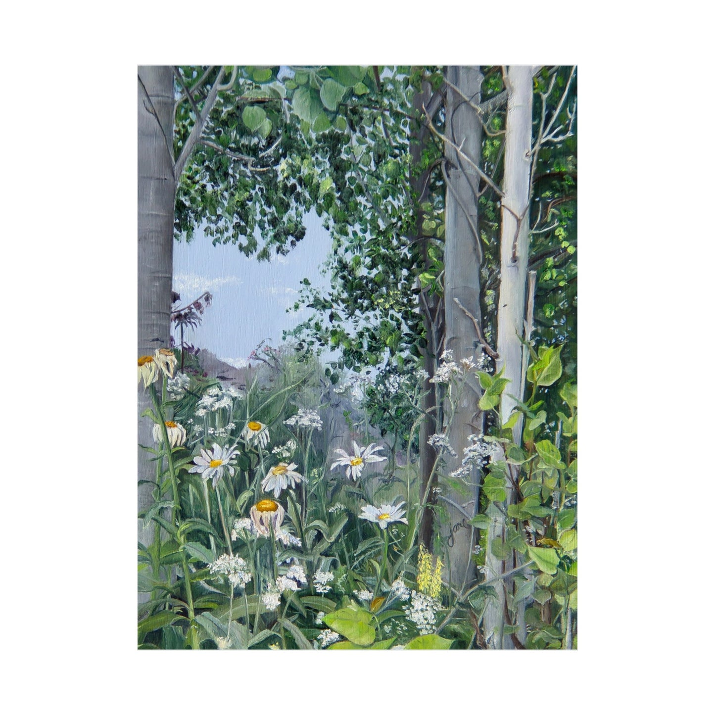 Quakies and Daisies by Jane Autry, Premium Matte Paper Print