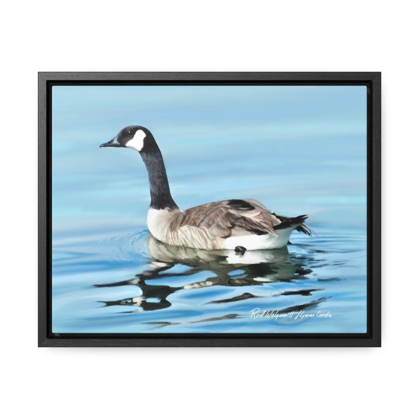 Stretched Canvas Print in Wood Frame, Canada Goose on Stansbury Lake , by Rod Walgamott