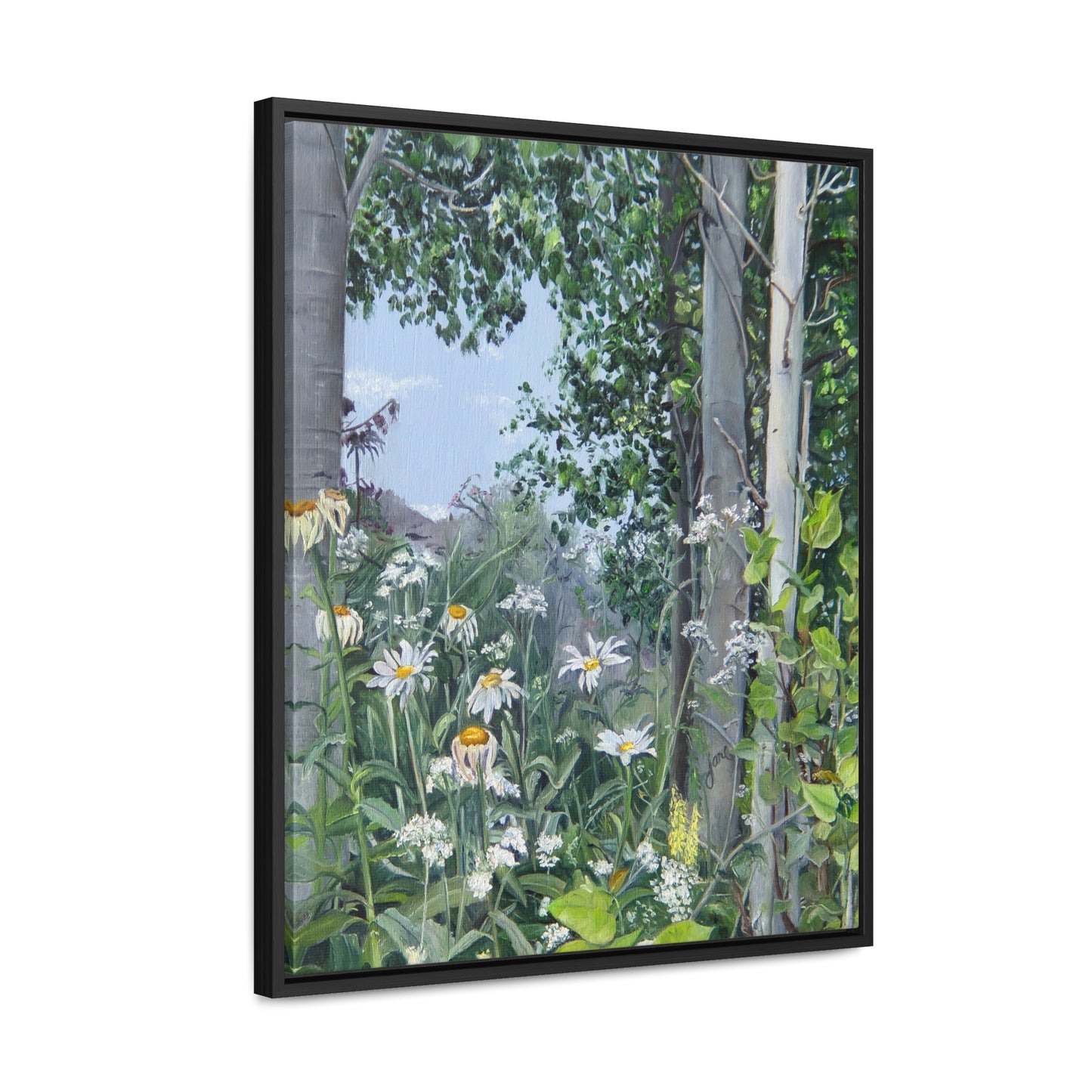 Quakies and Daisies by Jane Autry, Canvas Gallery Wrap