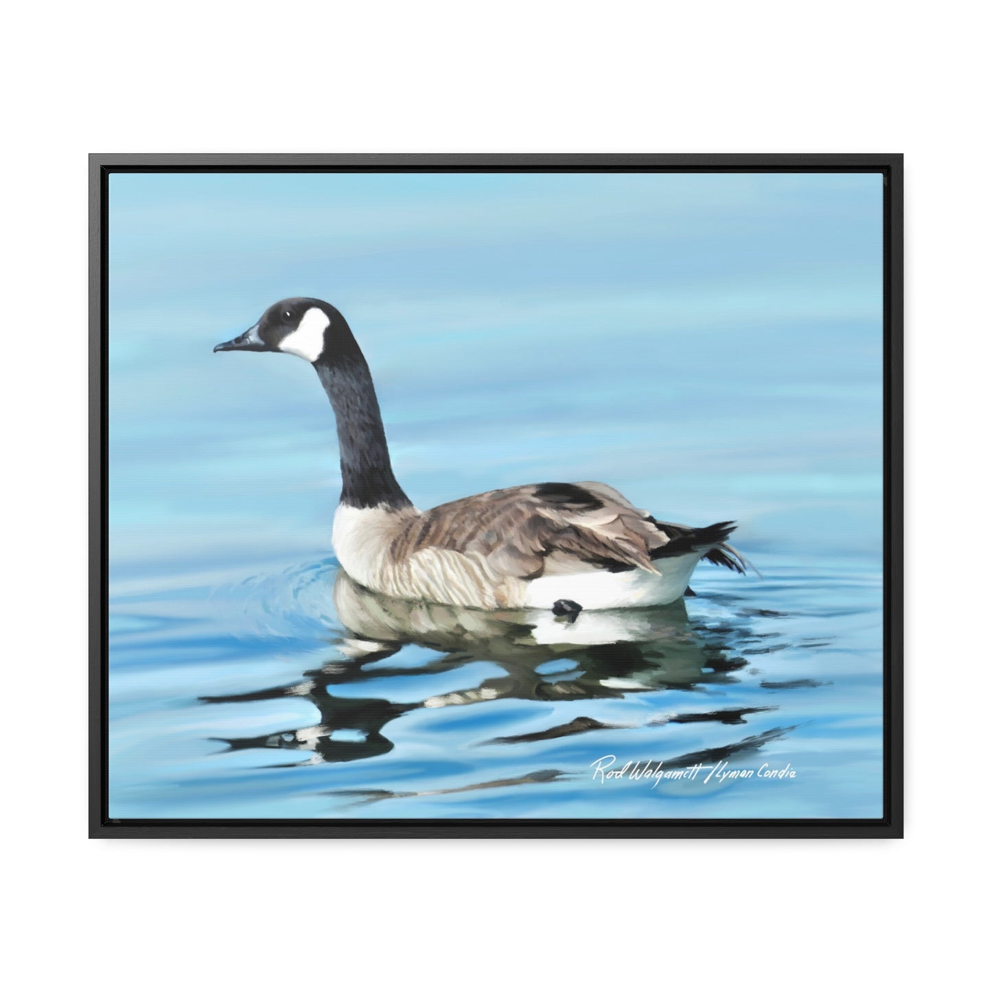 Stretched Canvas Print in Wood Frame, Canada Goose on Stansbury Lake , by Rod Walgamott
