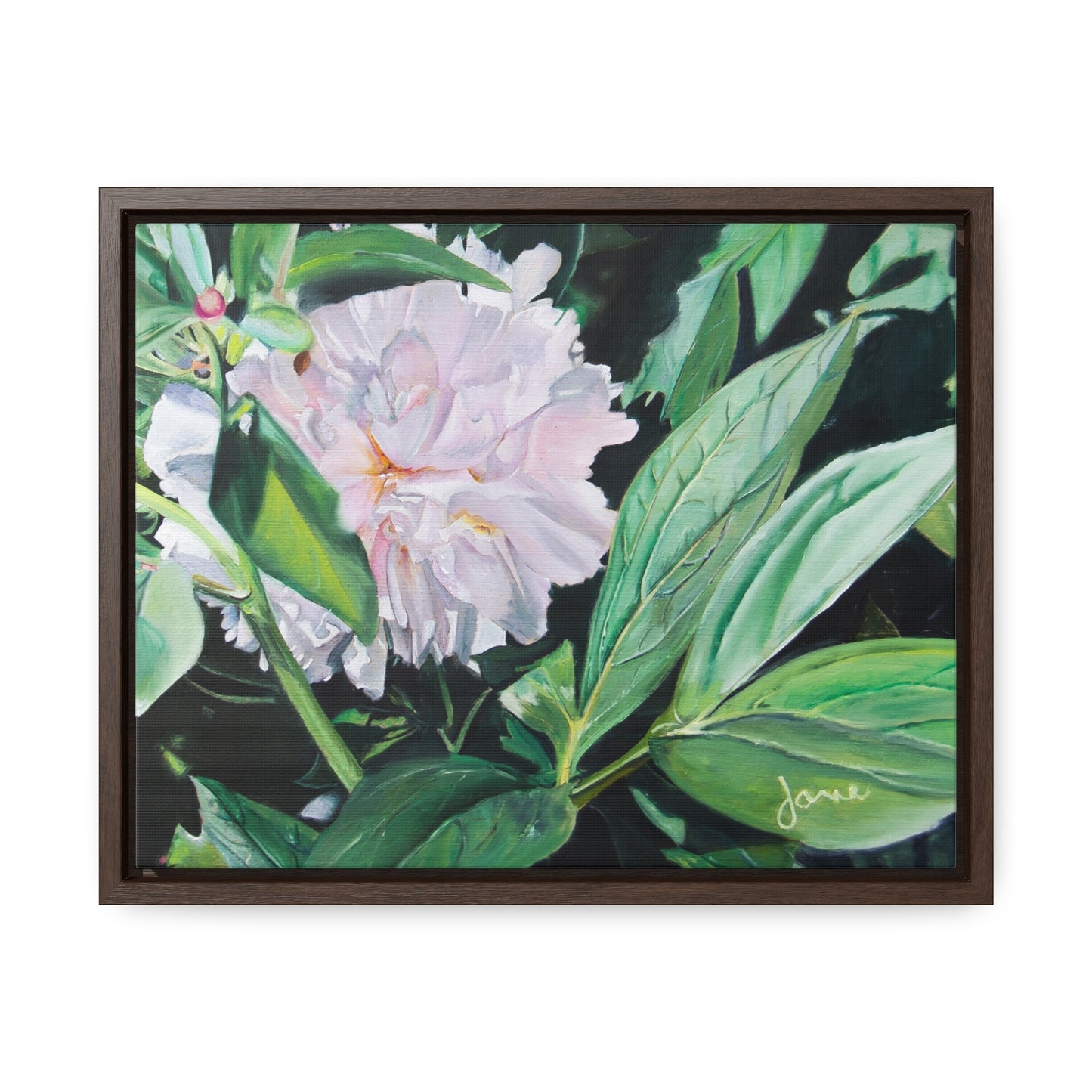 Stretched Canvas Wrap in Wood Frame, Shy Peone by Jane Autry