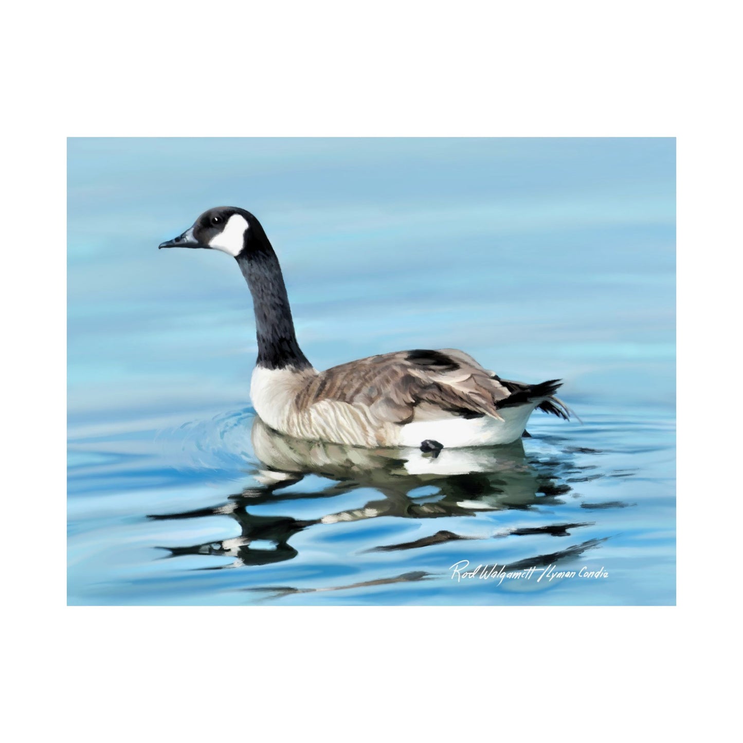 Premium Matte Print, Canada Goose on Stansbury Lake, by Rod Walgamott (Reference Photo by Lyman Condie)