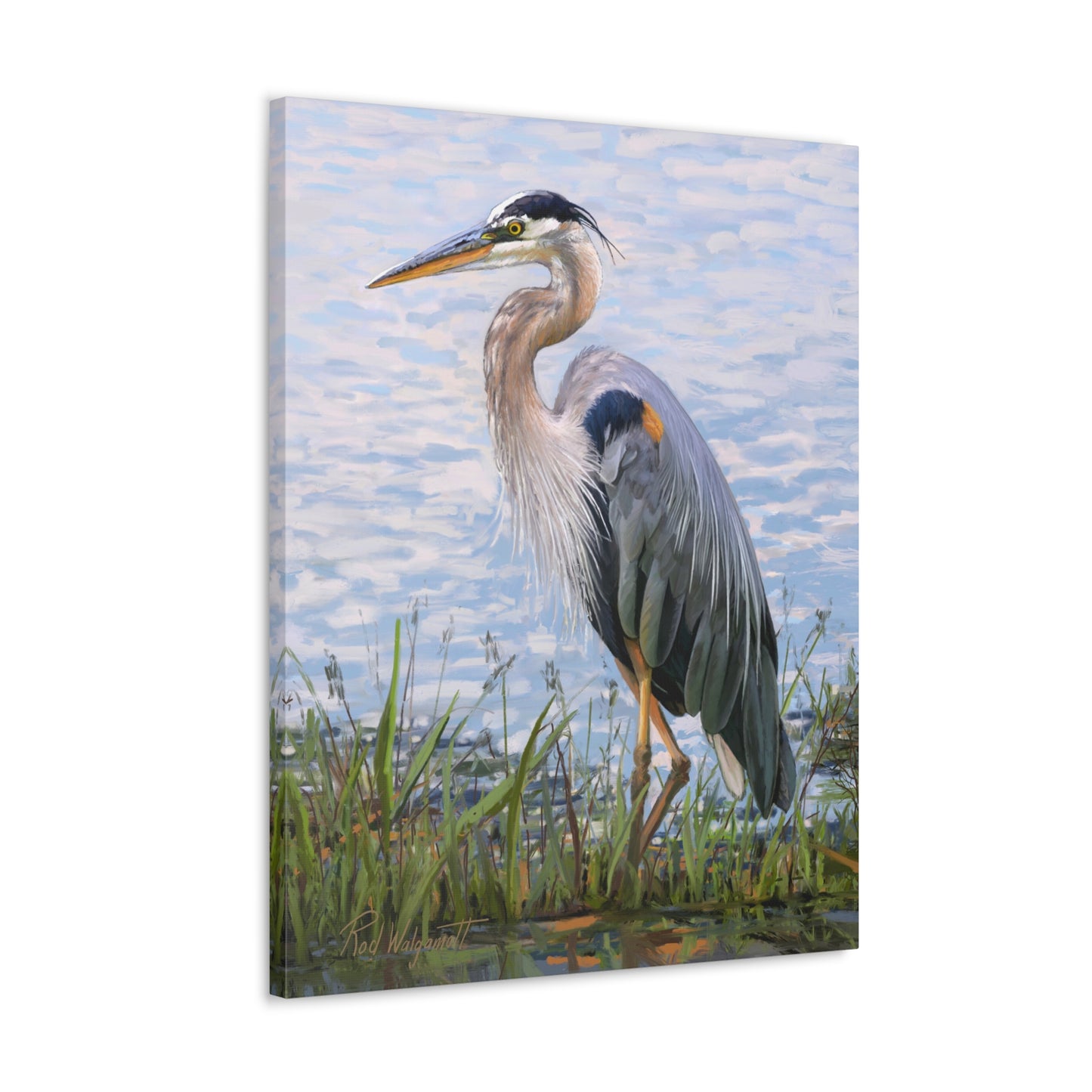 Gallery Wrap Canvas, Blue Heron at Stansbury Lake by Rod Walgamott