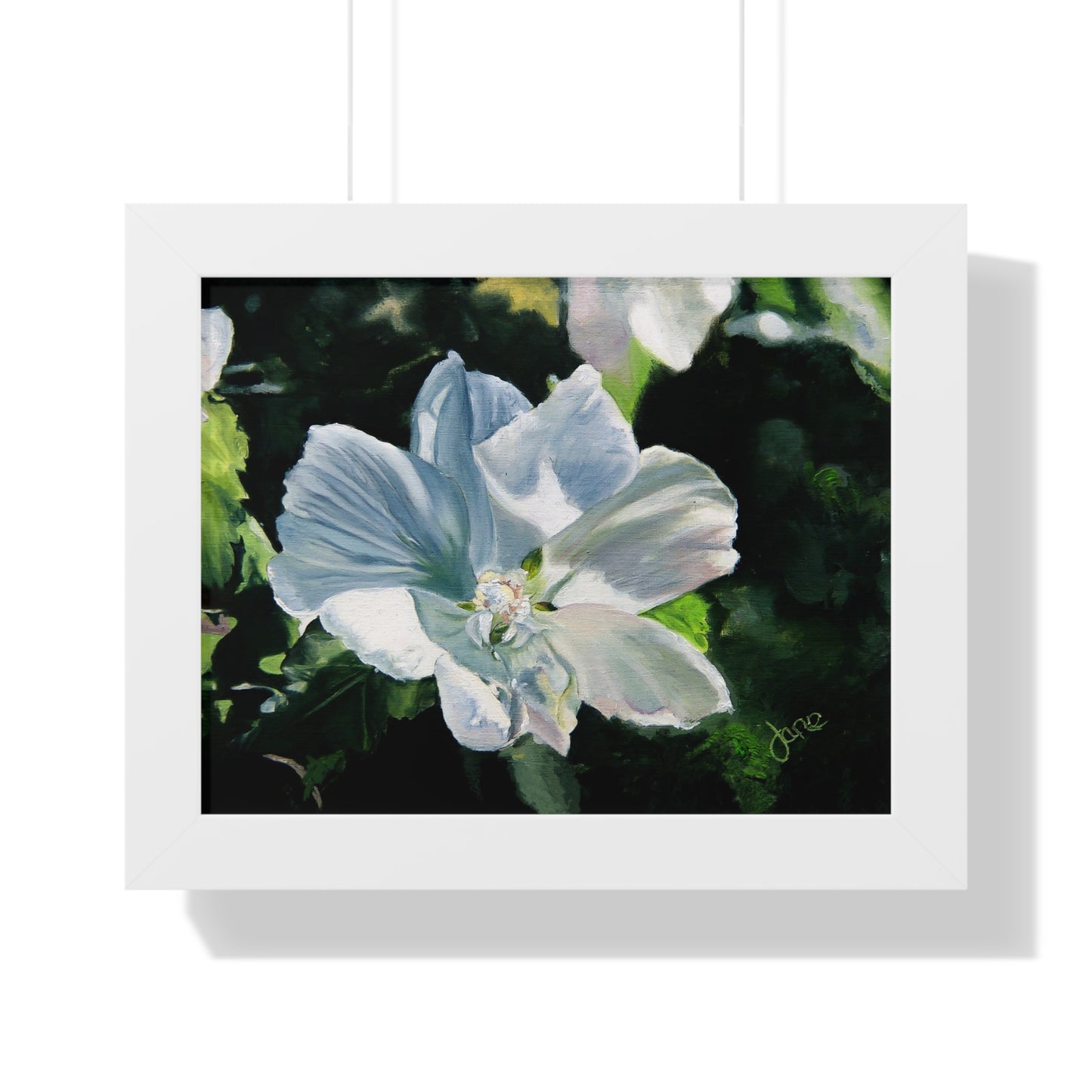 Premium Matte Print--Framed, White Rose of Sharon by Jane Autry
