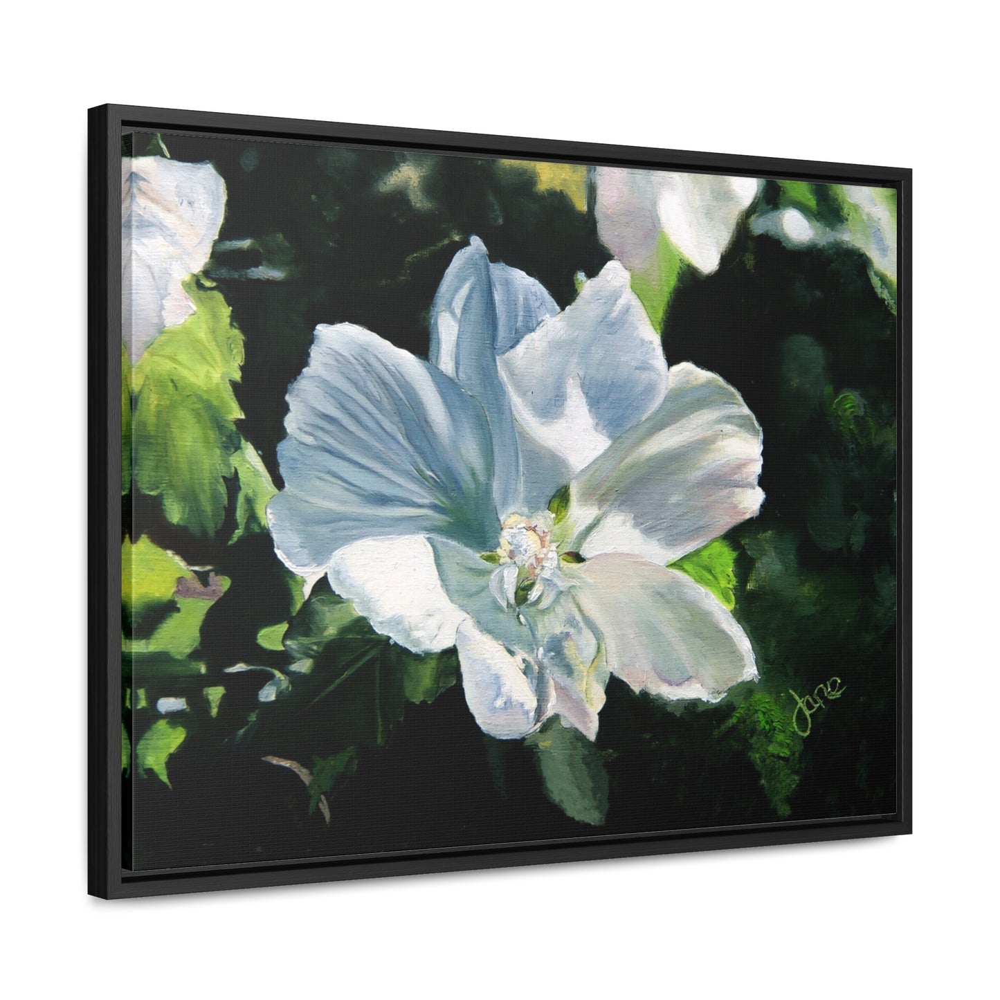 Stretched Canvas Wrap in Wood Frame, White Rose of Sharon by Jane Autry