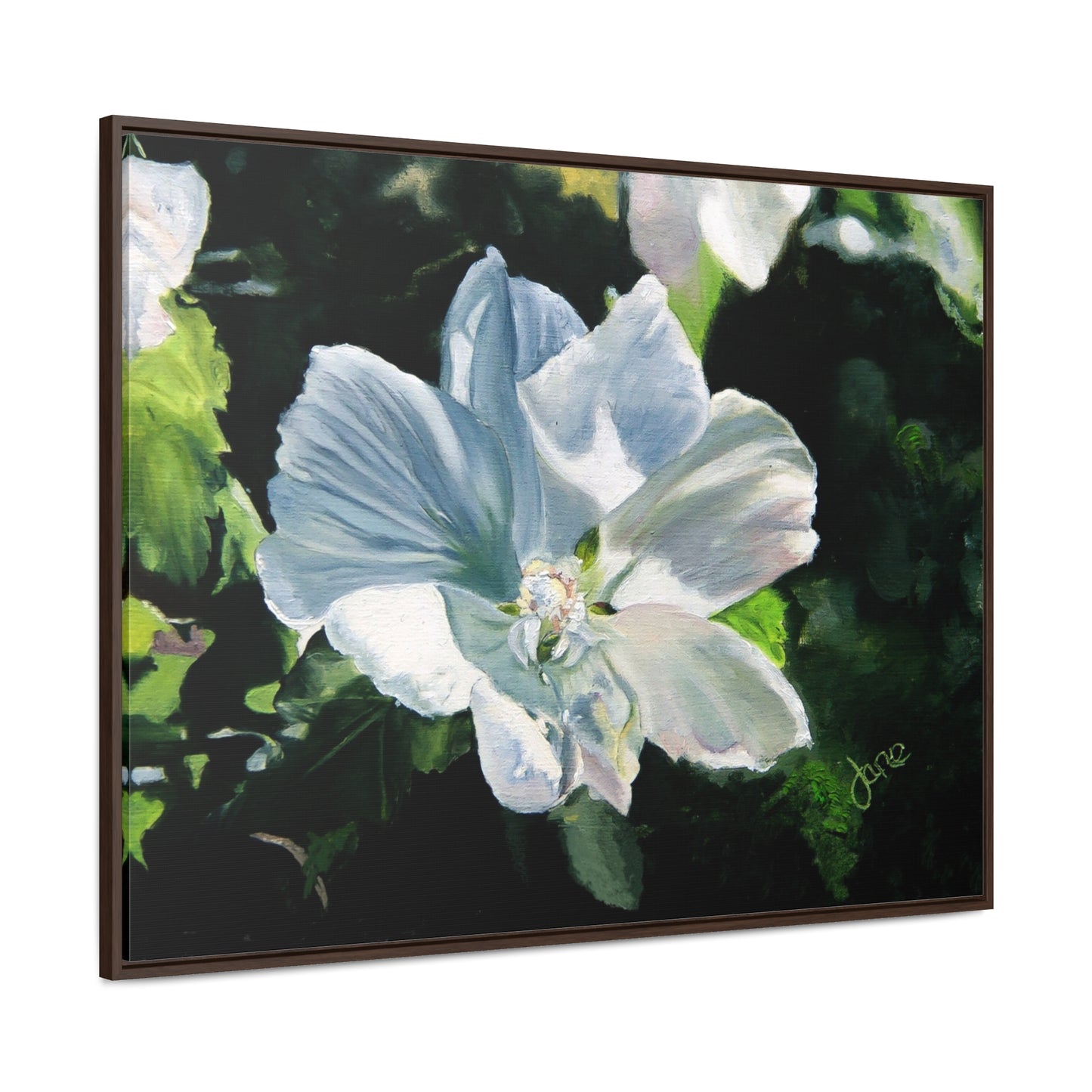 Stretched Canvas Wrap in Wood Frame, White Rose of Sharon by Jane Autry