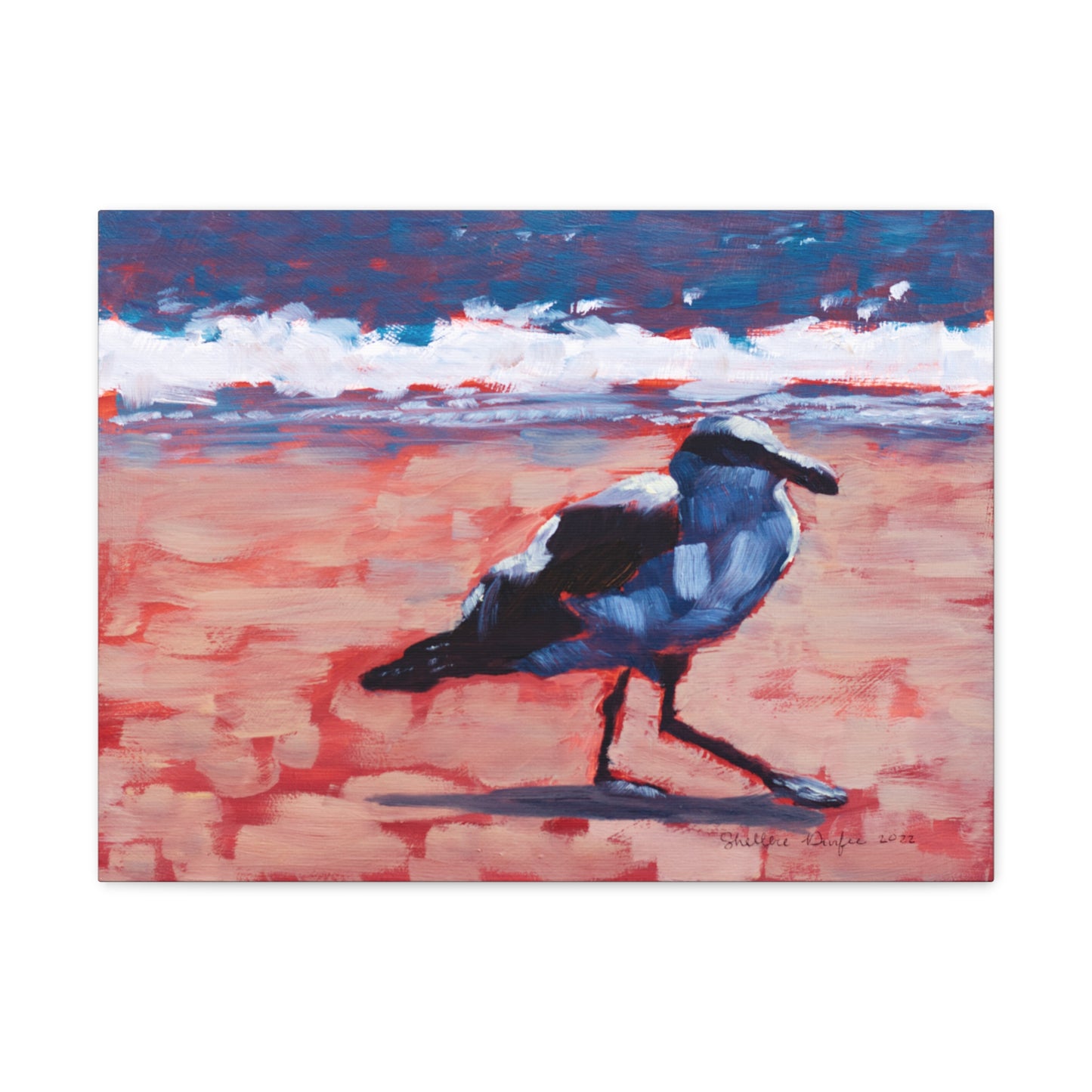 Canvas Gallery Wrap, Seagull, by Shellece Durfee