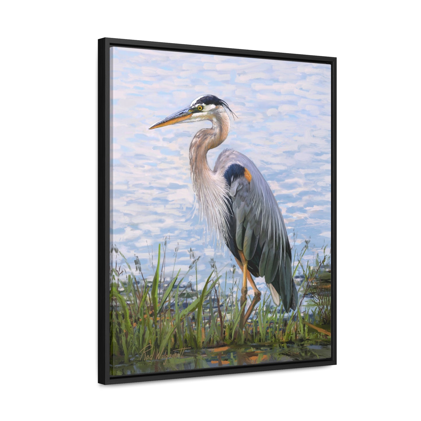Framed canvas Wrap, Blue Heron at Stansbury Lake, by Rod Walgamott