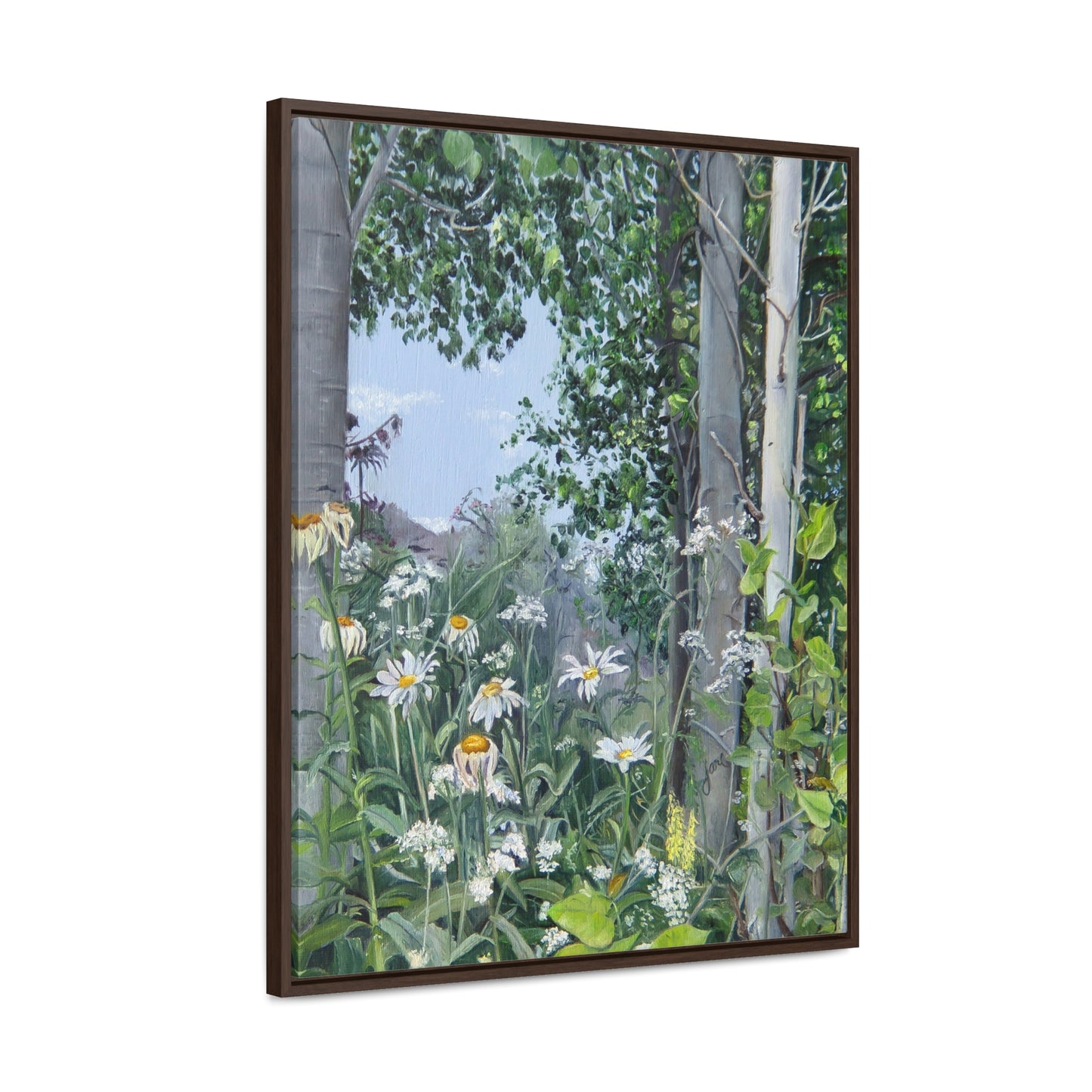 Quakies and Daisies by Jane Autry, Canvas Gallery Wrap