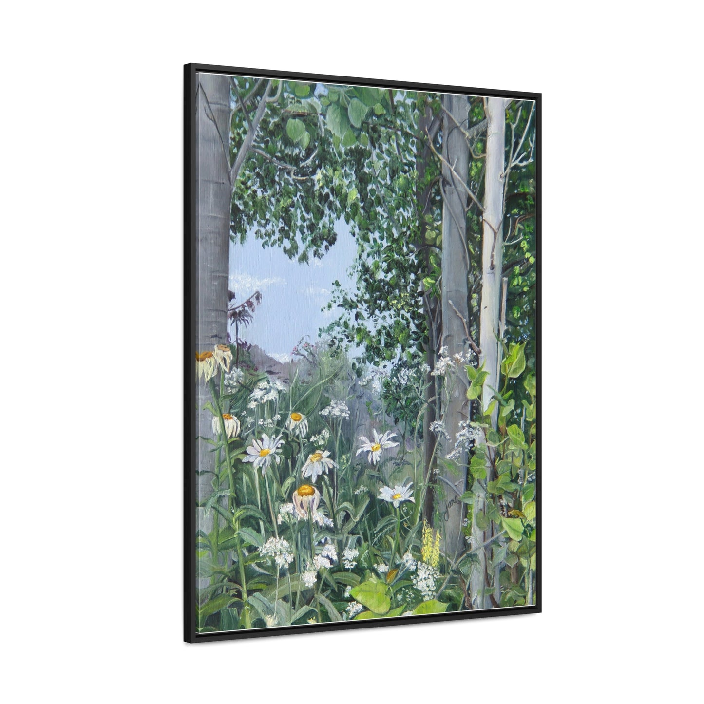 Quakies and Daisies by Jane Autry, Canvas Gallery Wrap