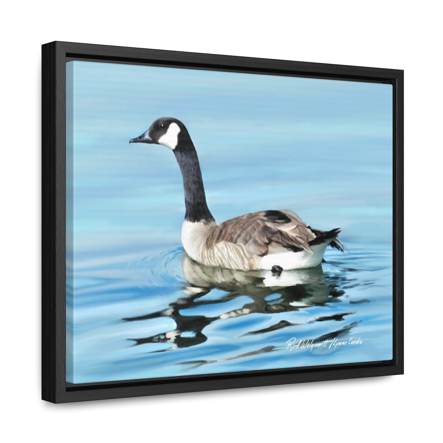 Stretched Canvas Print in Wood Frame, Canada Goose on Stansbury Lake , by Rod Walgamott