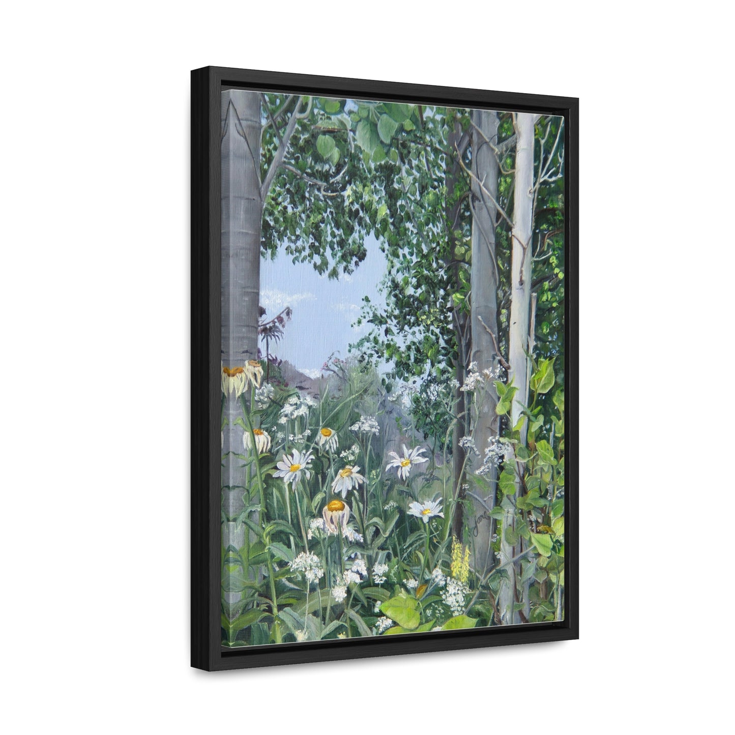 Quakies and Daisies by Jane Autry, Canvas Gallery Wrap