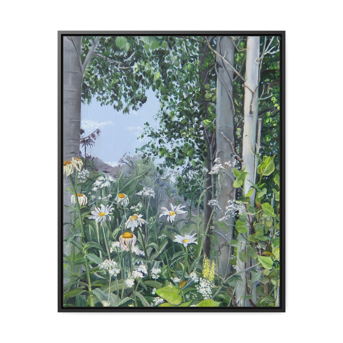 Quakies and Daisies by Jane Autry, Canvas Gallery Wrap