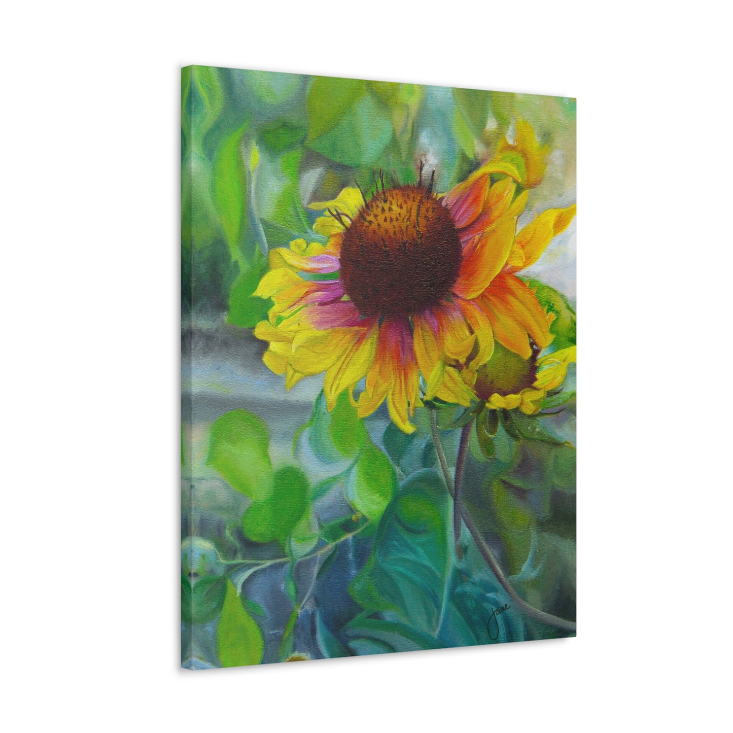 Indian Blanket Flower by Jane Autry, Canvas Gallery Wrap
