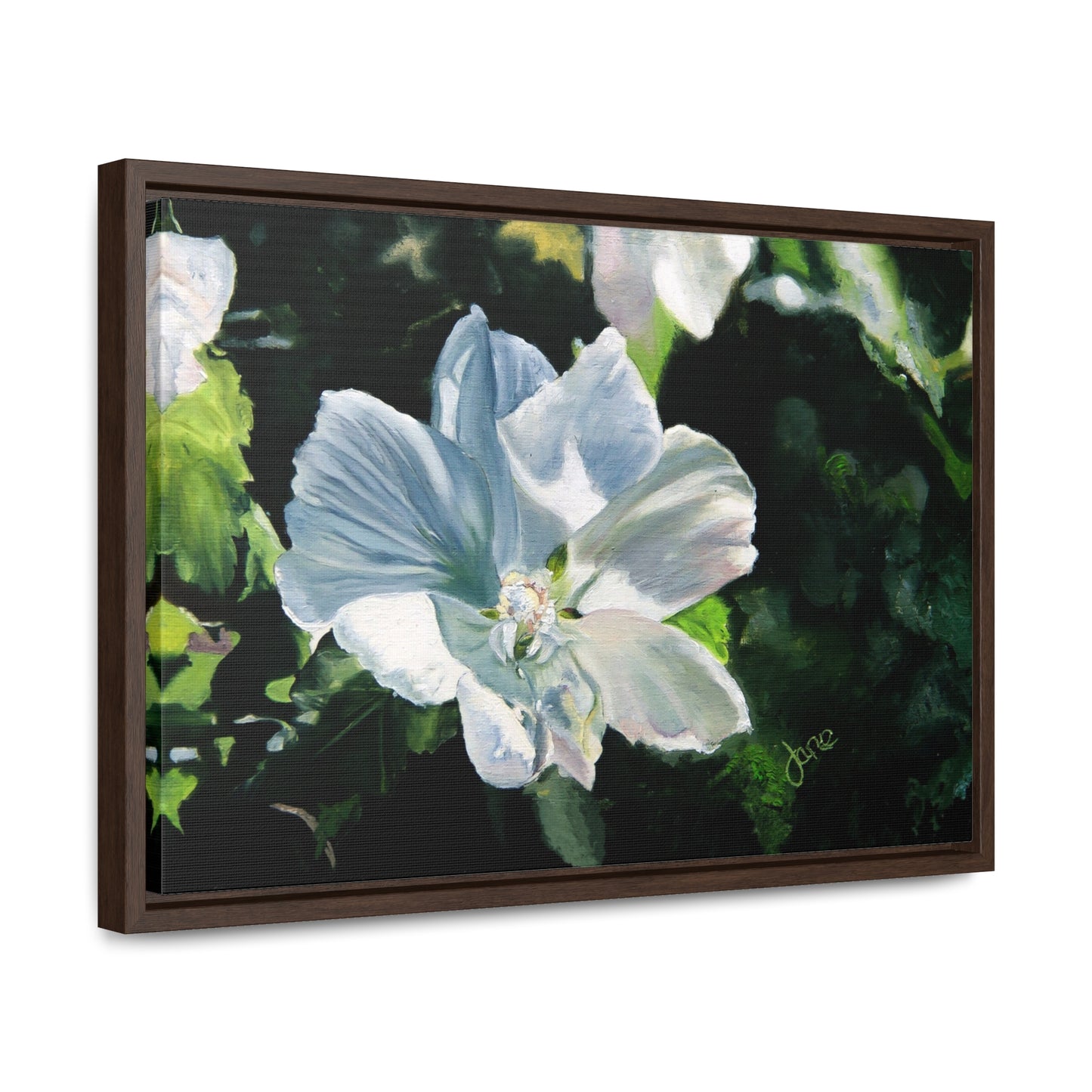 Stretched Canvas Wrap in Wood Frame, White Rose of Sharon by Jane Autry