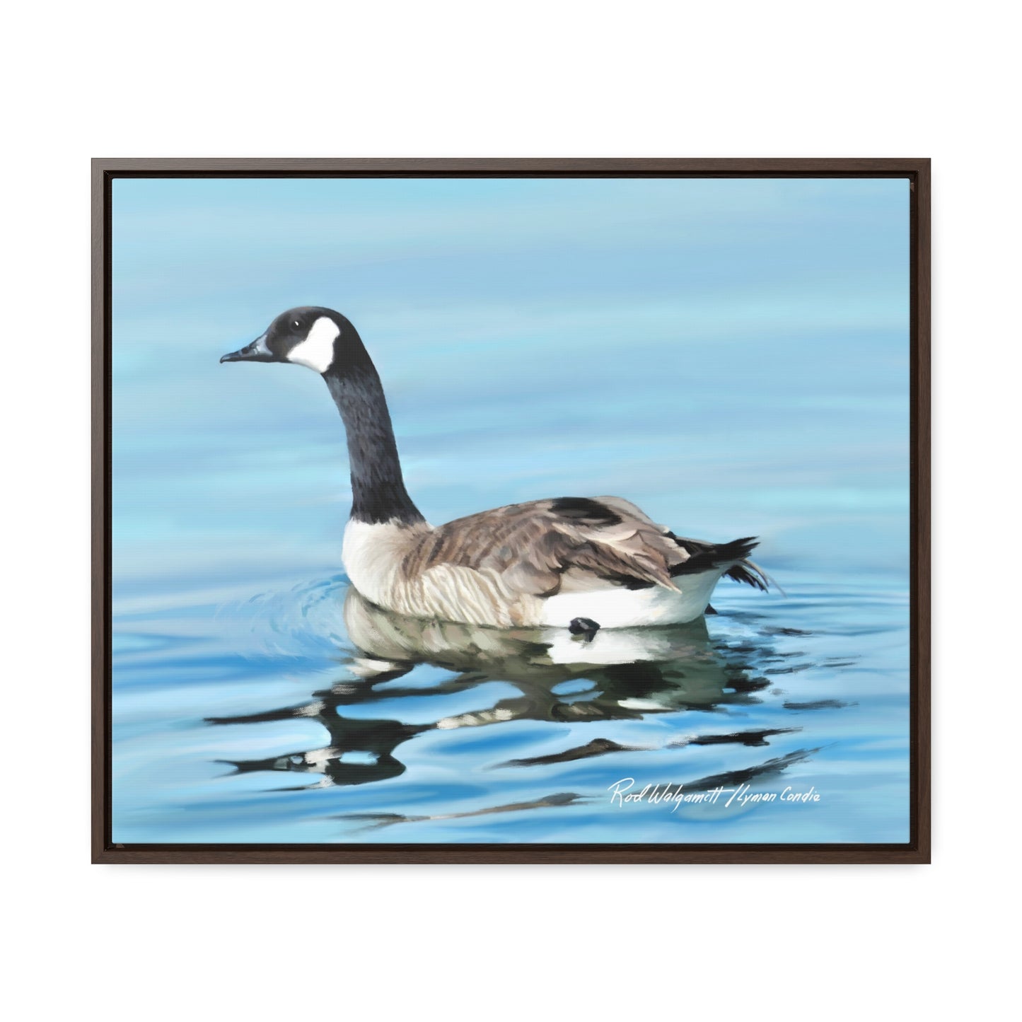 Stretched Canvas Print in Wood Frame, Canada Goose on Stansbury Lake , by Rod Walgamott