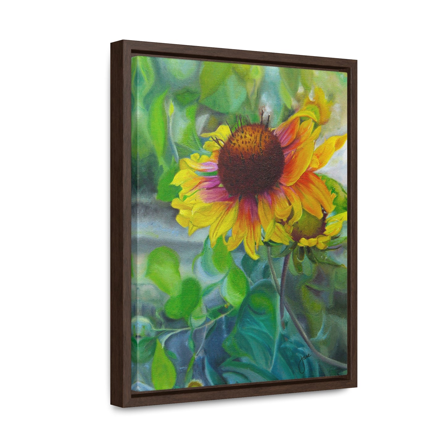 Indian Blanket Flower by Jane Autry, Canvas Gallery Wrap